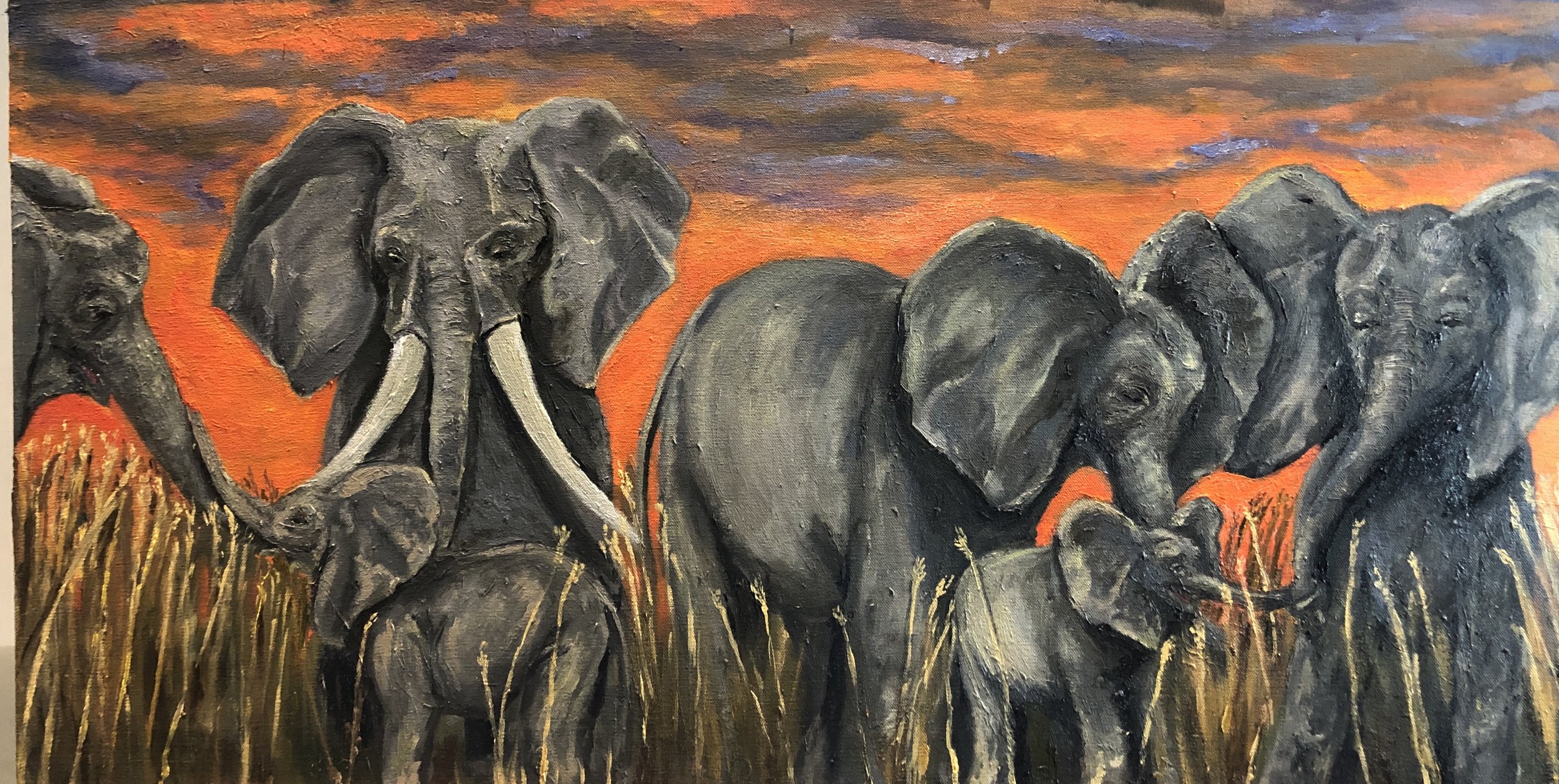 Elephants