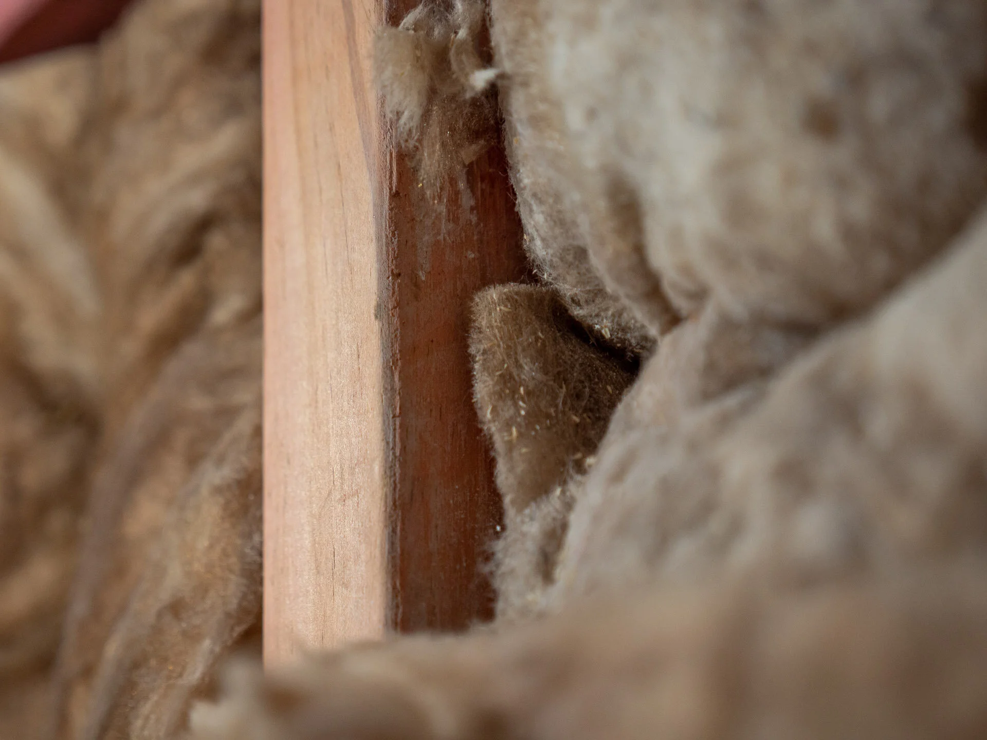 P1122712_Web Size.jpg