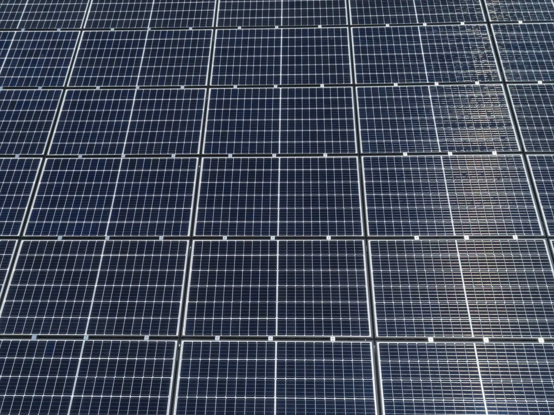 DJI_0019_Web Size.jpg