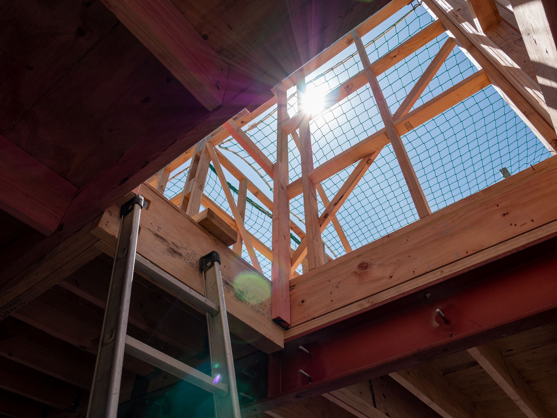 P1177114_Web Size.jpg