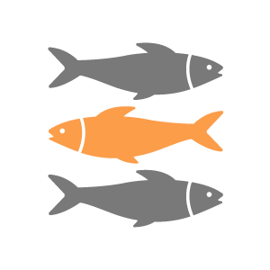 Aqua Feed Ingredients