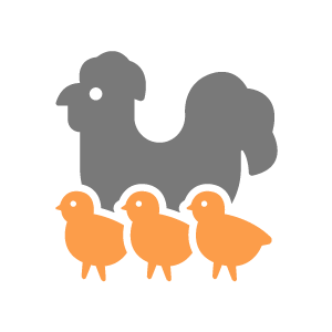 Animal Feed Ingredients