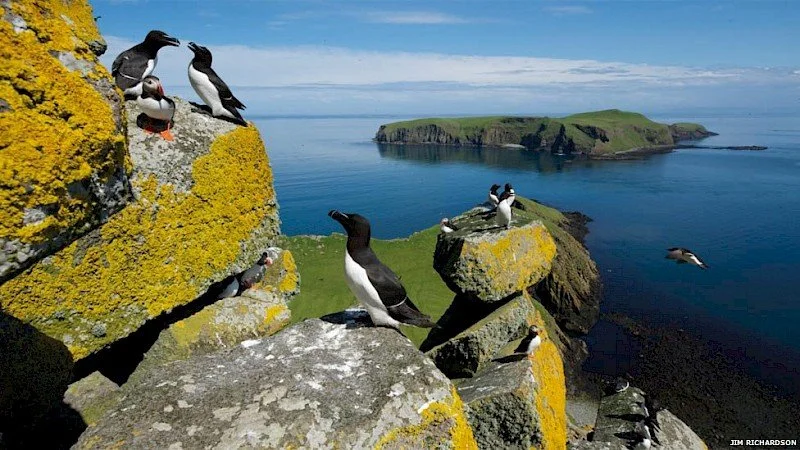 shiant-isles.jpg