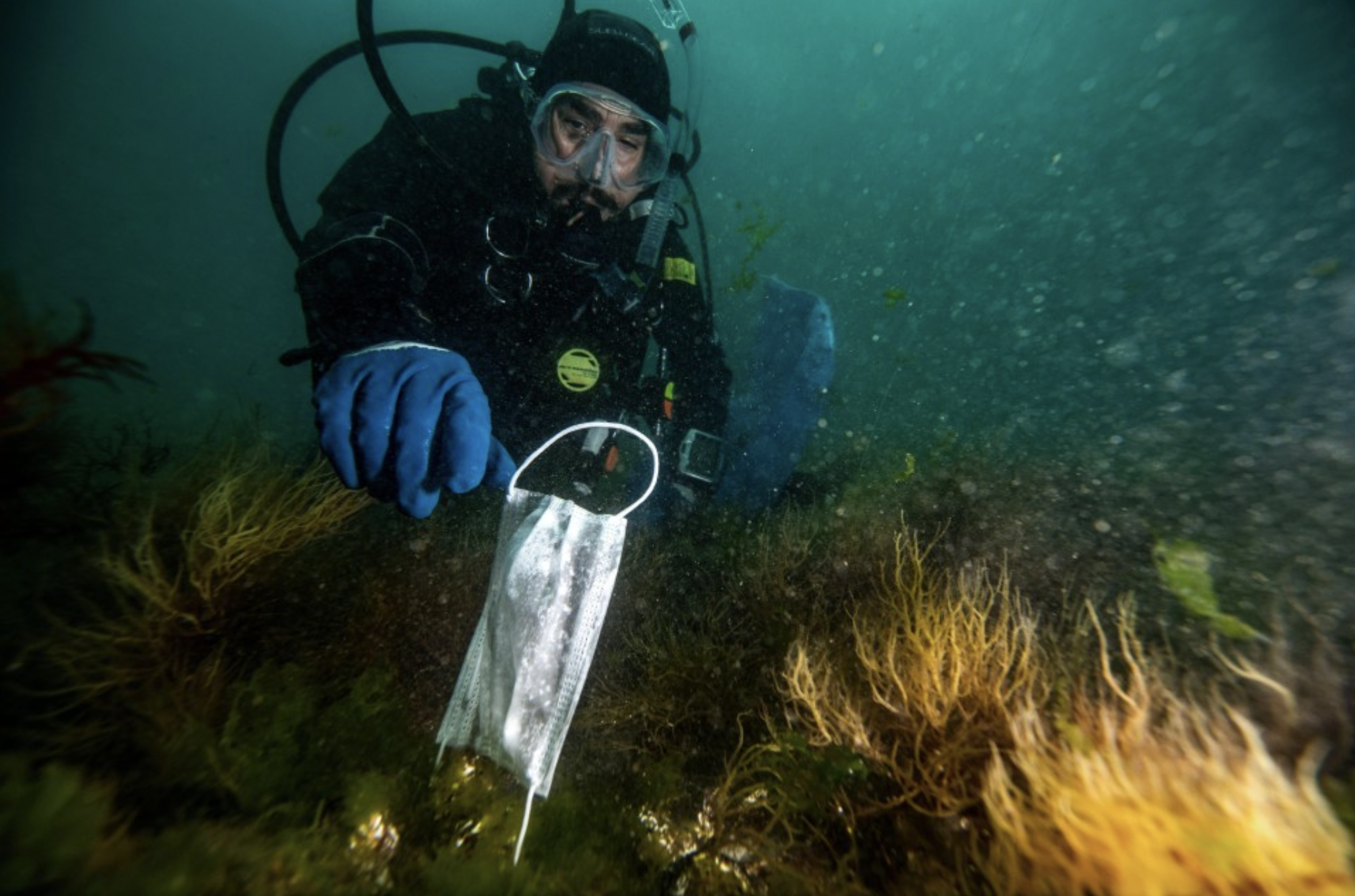 The Pandemic Is Not the Cure for Our Environmental Ills