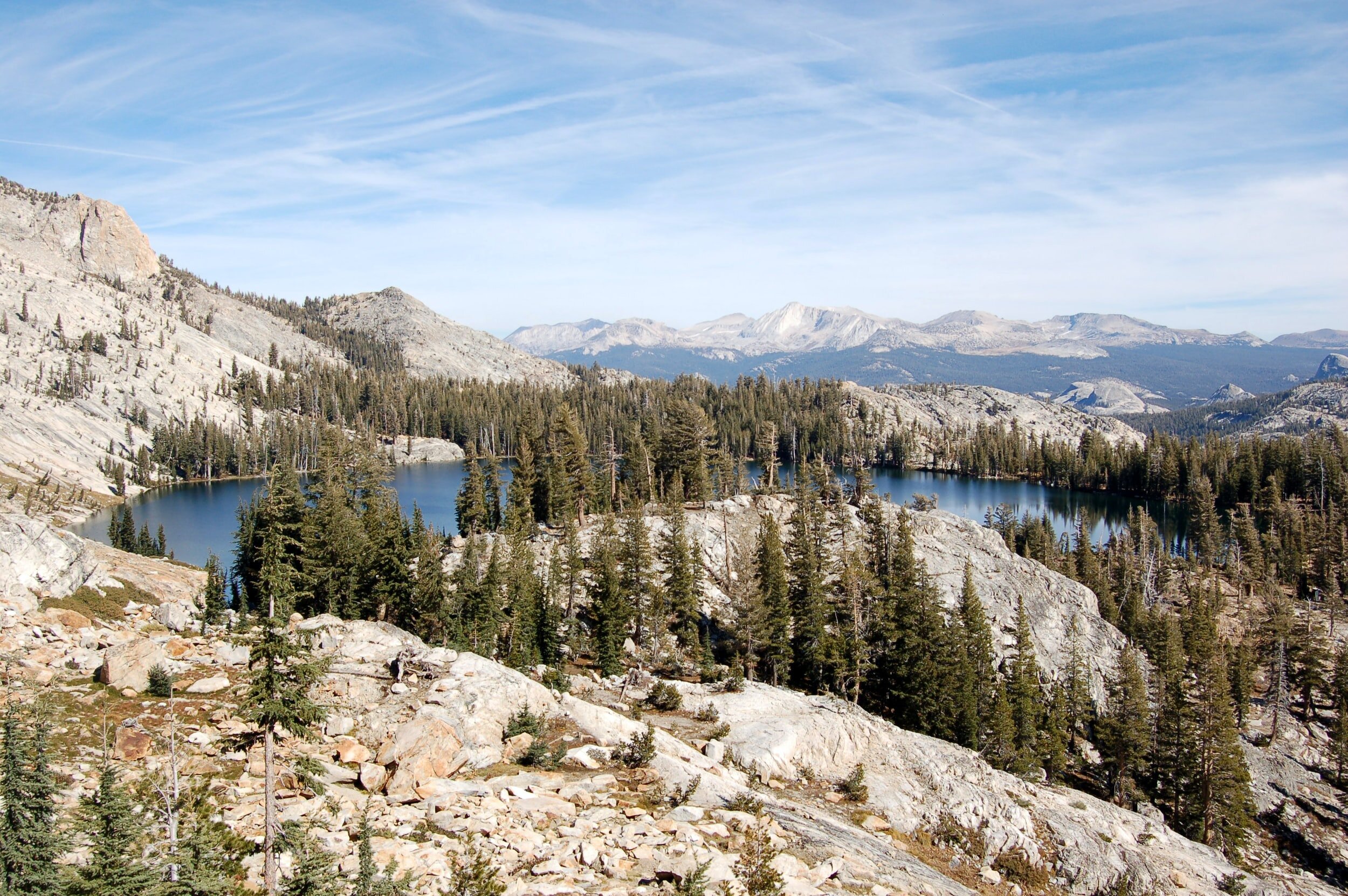 The California 2070 Project: Bark Beetles in California Forests