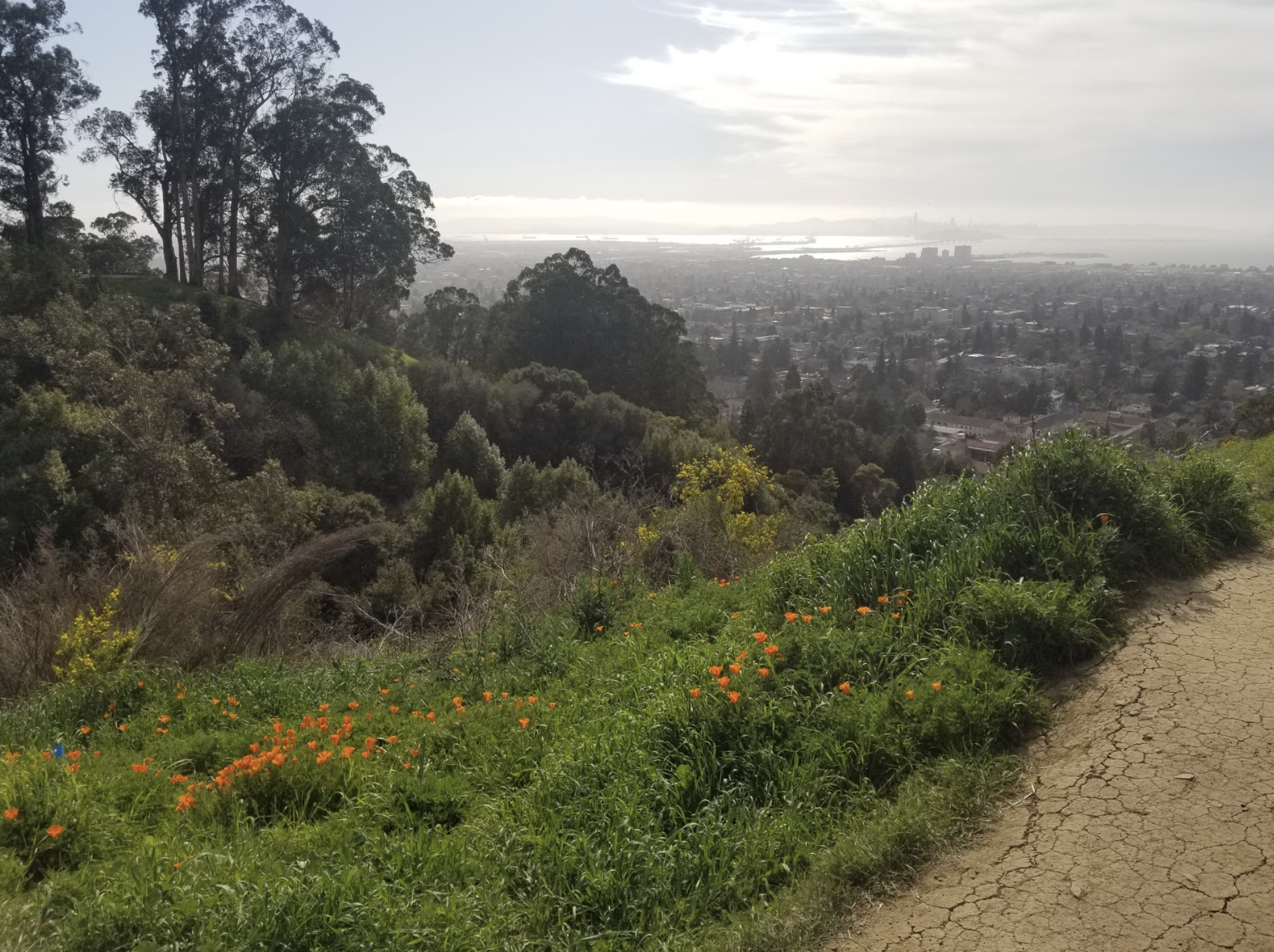 The Land We Live On: History and Perspectives of East Bay Natural Areas
