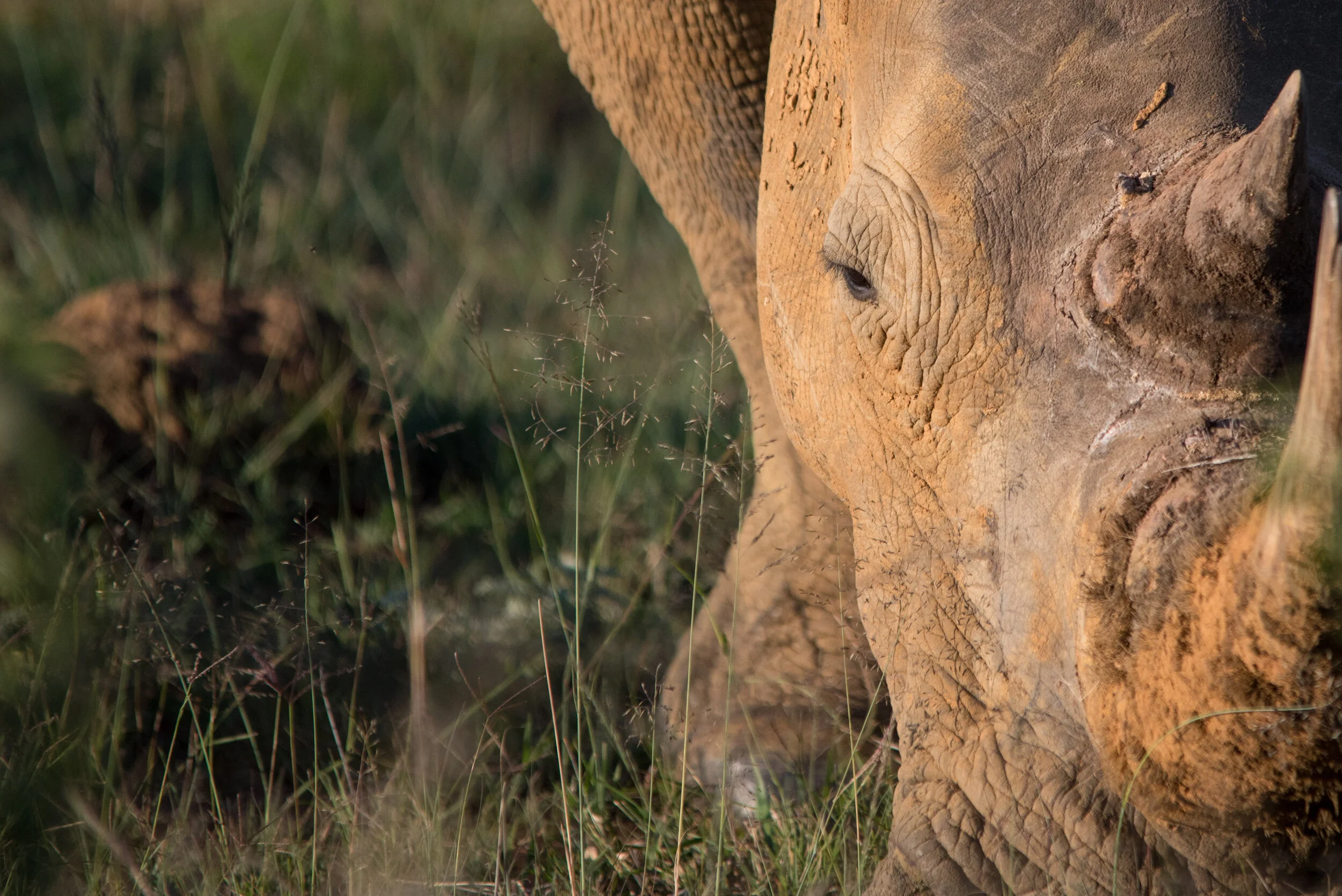 Limpopotrip_ (10).jpg