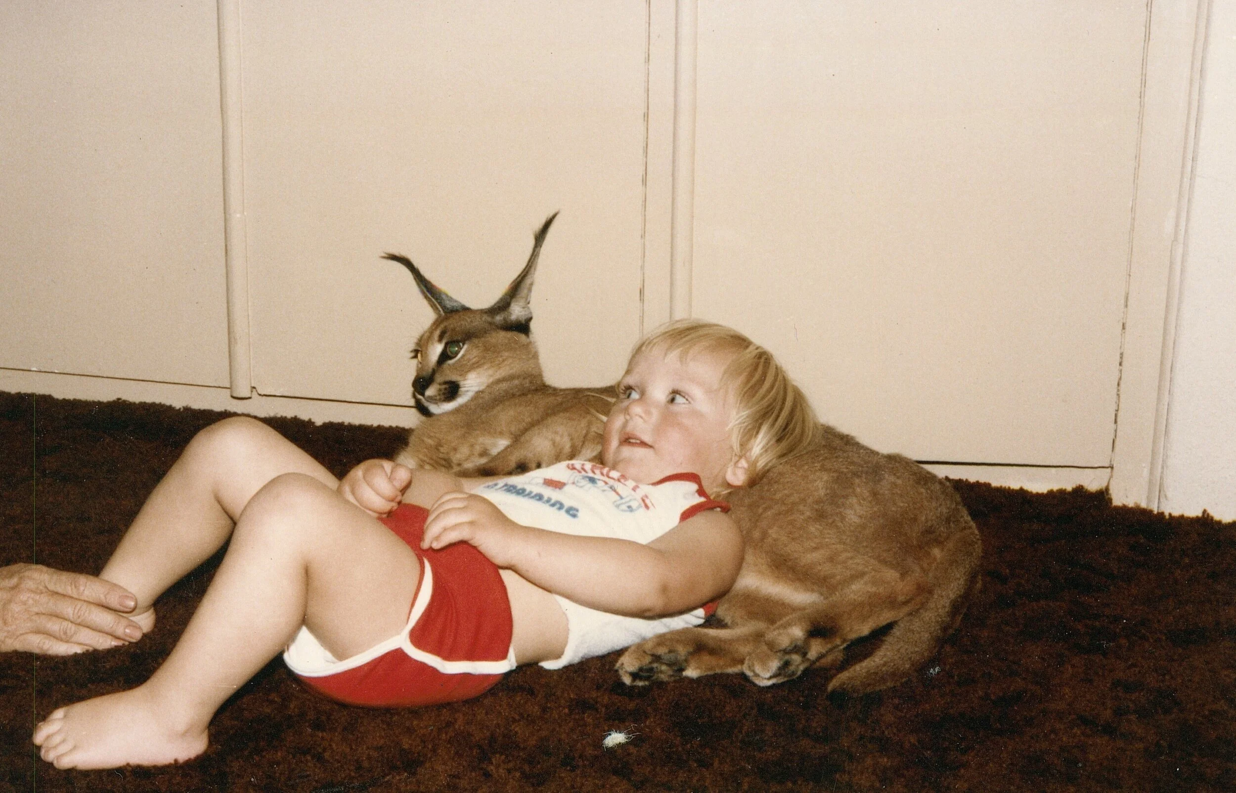 Zaan &amp; Tarki, mom’s lynx