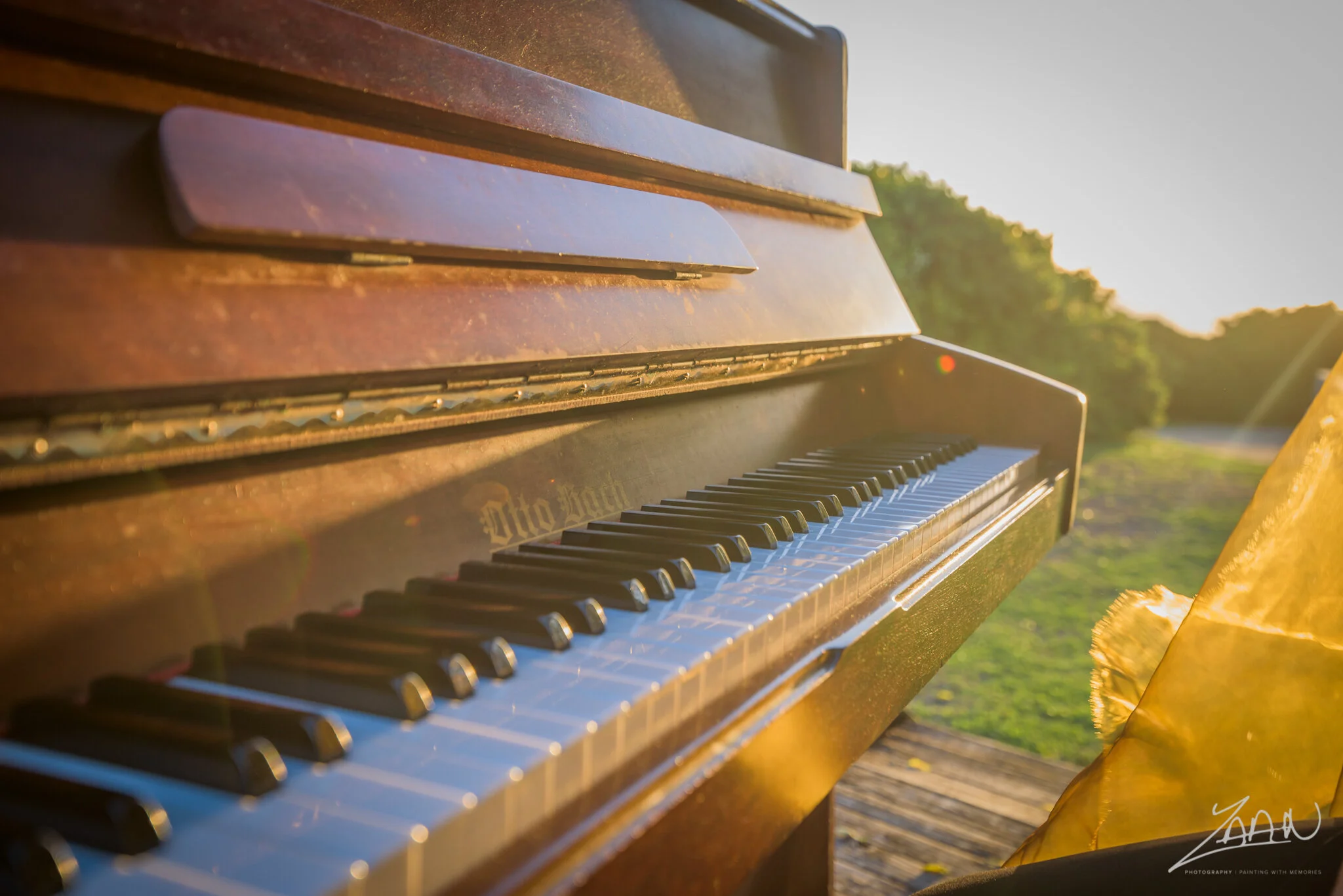 20190727_TrainTripToElgin-46 (1).jpg