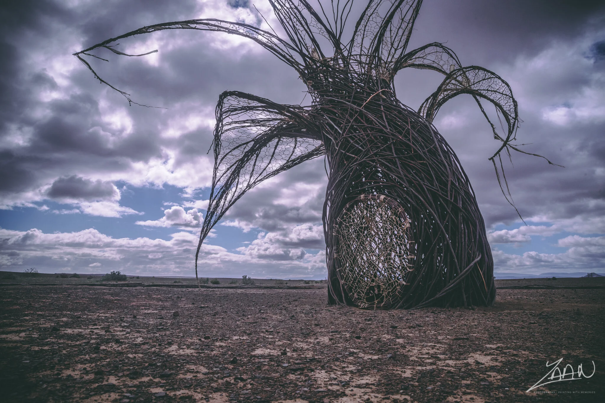 Tankwatrip_ (10).jpg