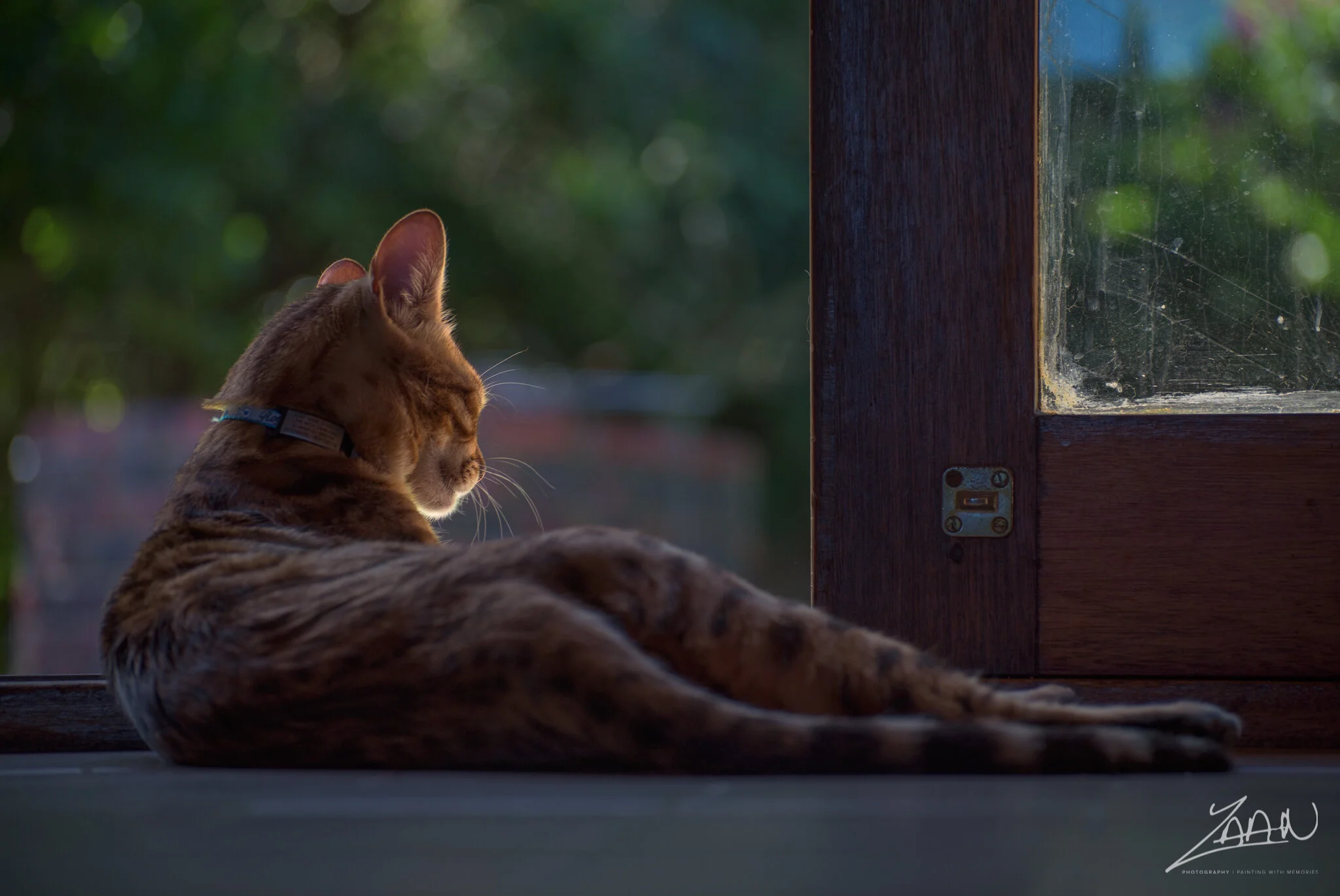 Gonnamanskraaleveningshoot_ (8).jpg