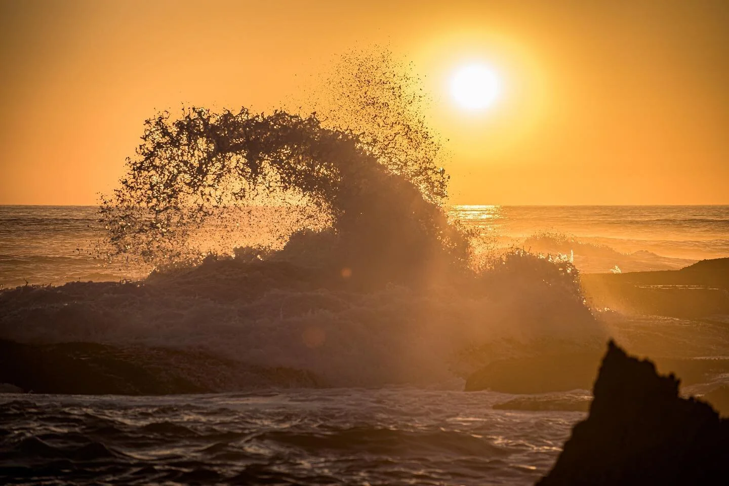 Got so busy with events and shoots for clients that I almost forgot to take some time and just take photos for the love of it.

So I took my camera along for an evening swim and this was one of the results 📸😉❤️

#zaan #zaandubruyn #zaandubruynphoto