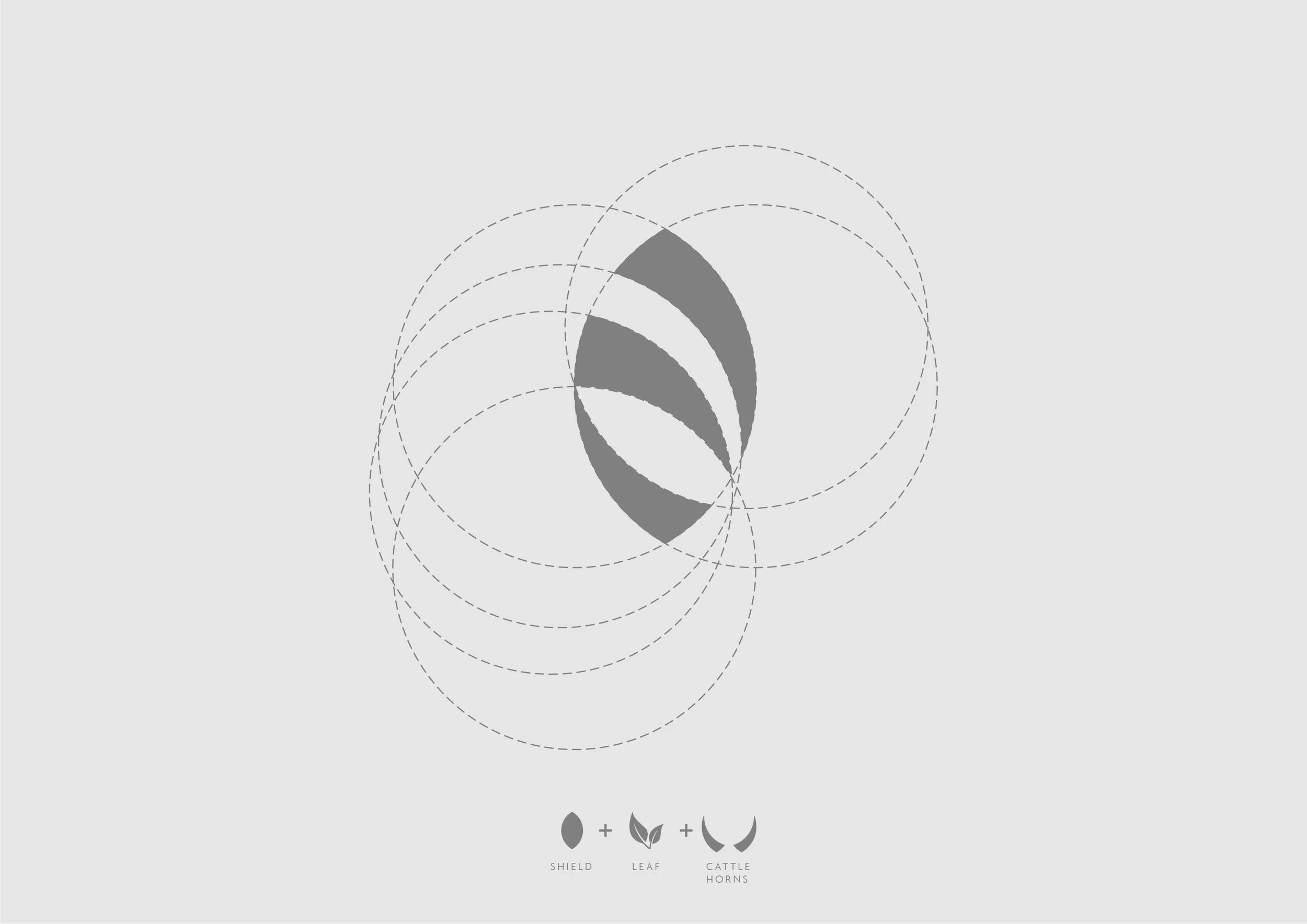 Developer Brand Identity Design