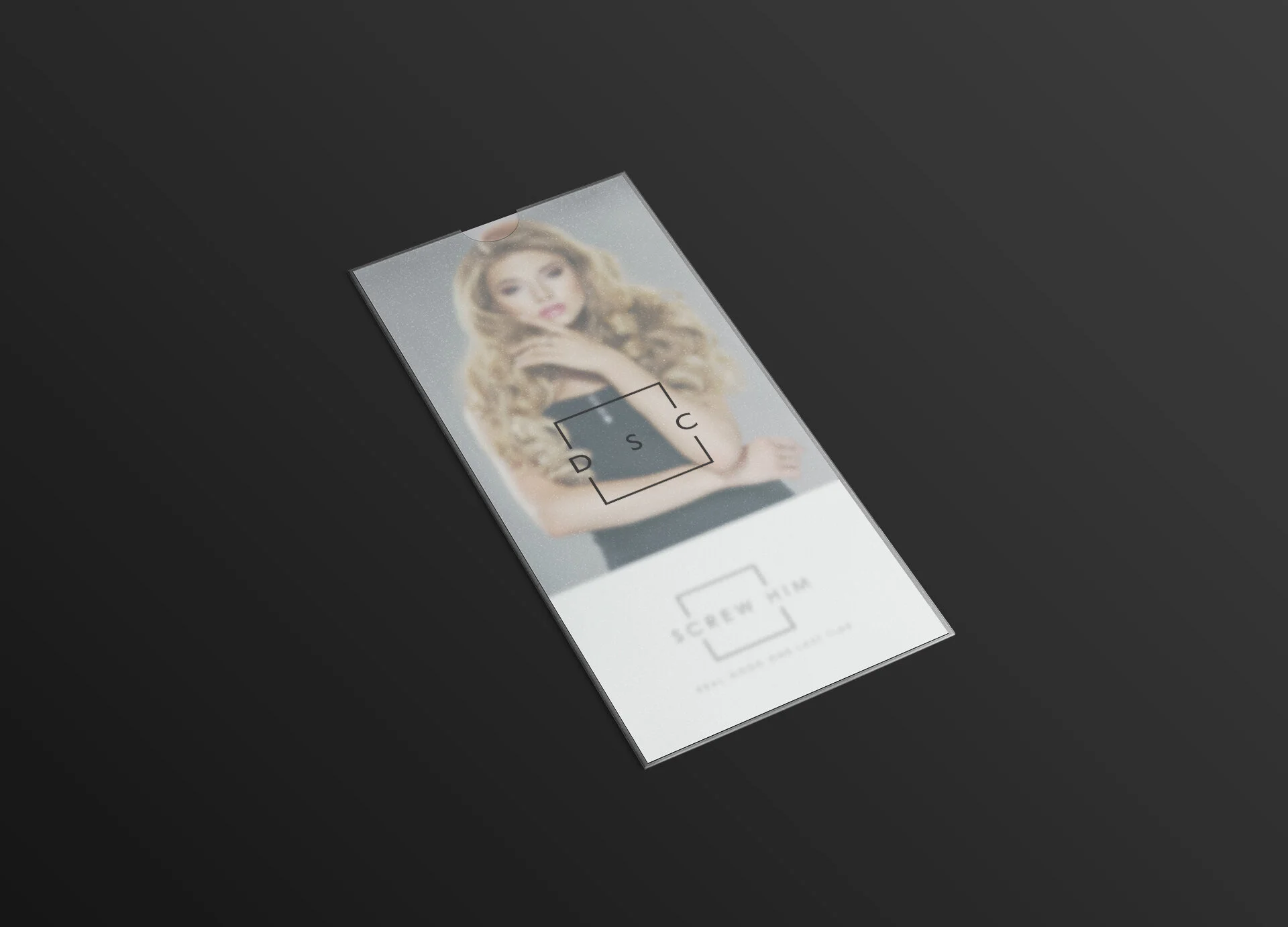 DSC Leaflet cover.jpg