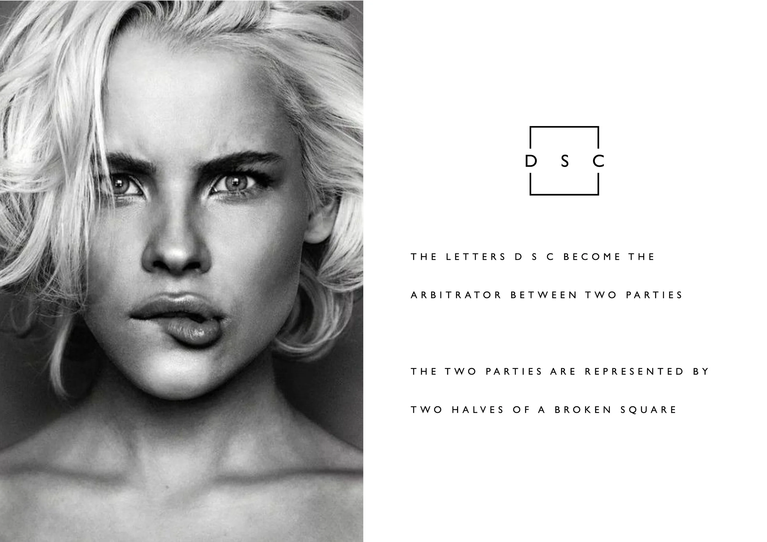 DSC Identity rational.jpg