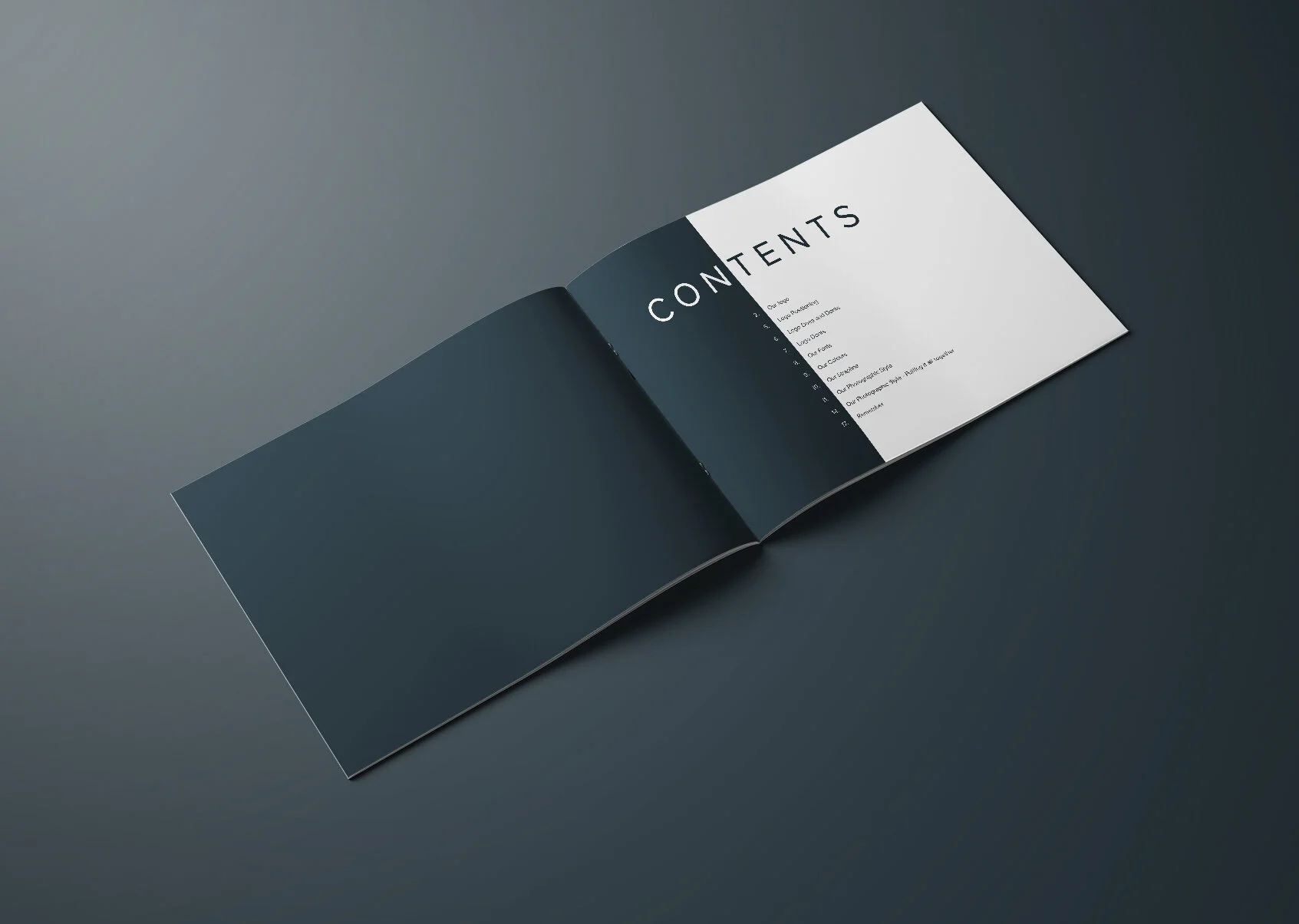 RELI Brand Book Spread 1.jpg