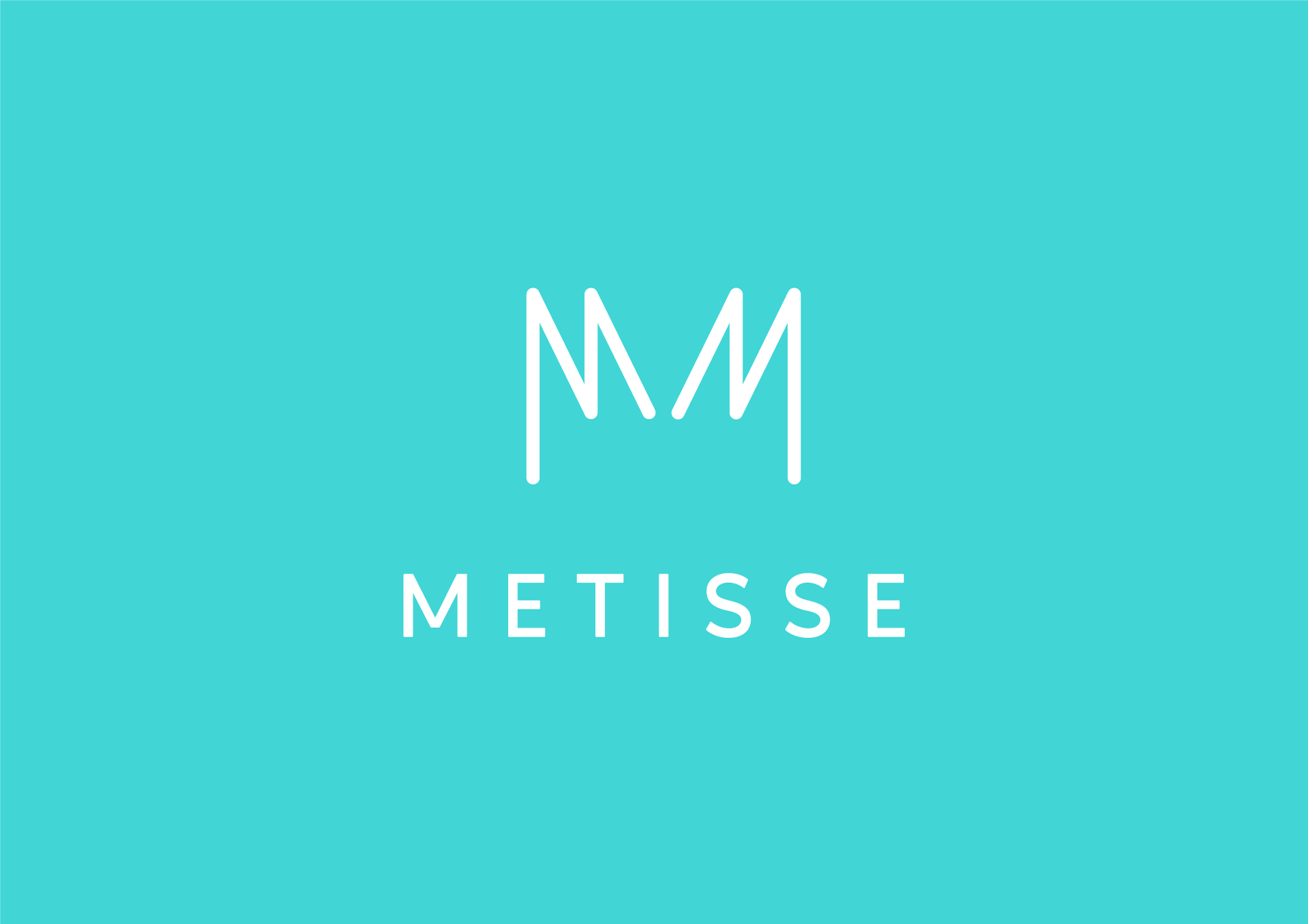 Metisse-logo-2.png
