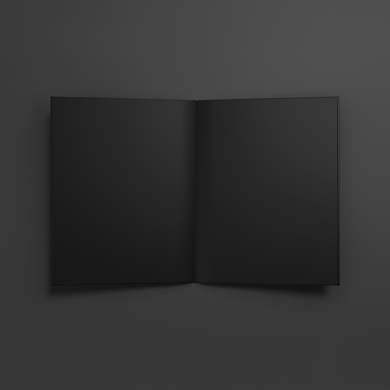 Product Packaging Design.png