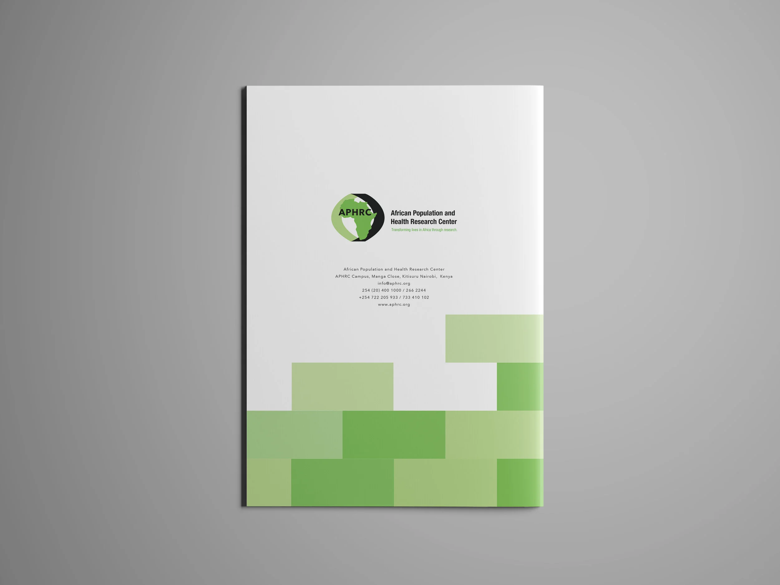 back cover mockup.jpg