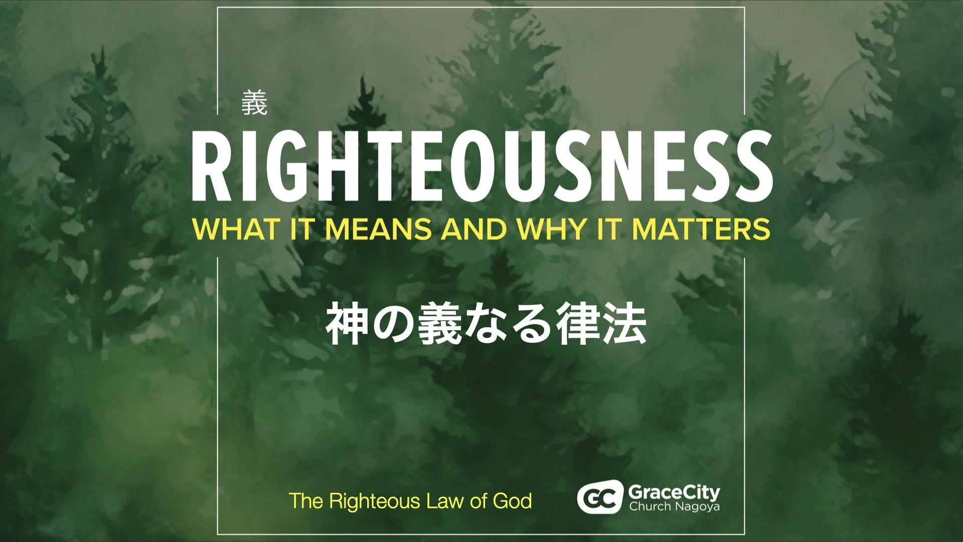 詩篇 119:1-176⎪神の義なる律法