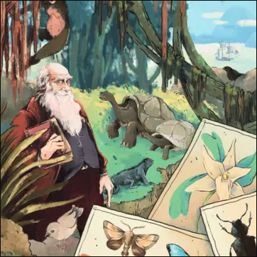Puzzle 1000 Pcs Charles Darwin : La Galerie Des Légendes - BCD