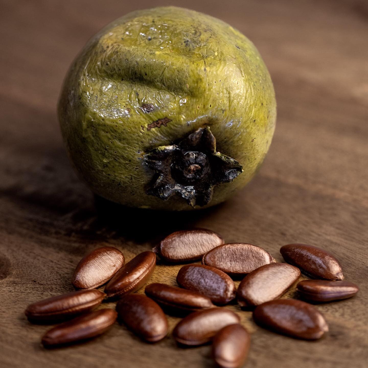 Did you know that Mother Earth provides us with a fruit that tastes like chocolate pudding? 

Black Sapote magically tastes like a decadent desert. 
It not only taste amazing it is packed with vitamin C, vitamins A, potassium, calcium, vitamins E and