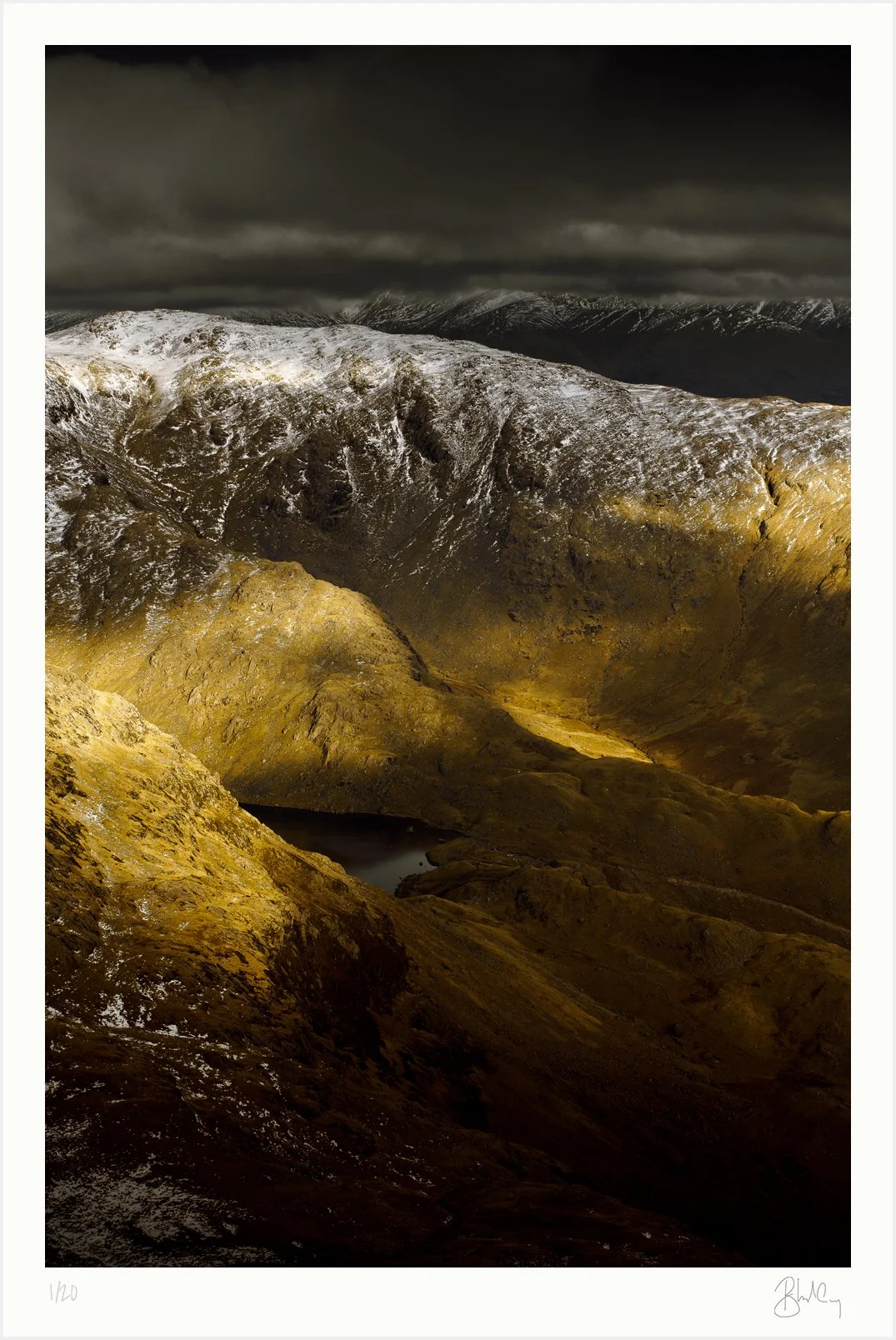 Winter Gold