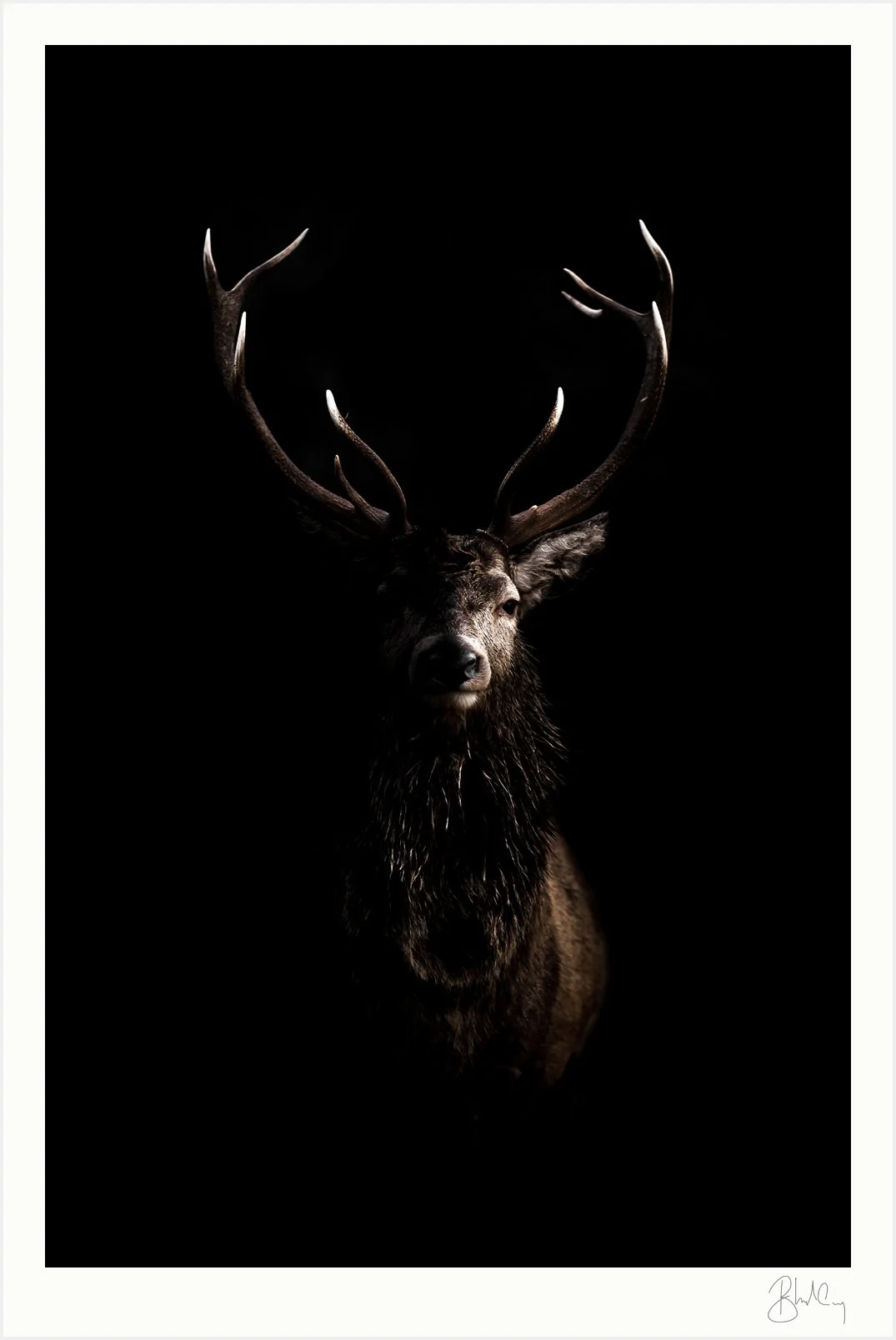 Mockup-OhDeer-01.jpg