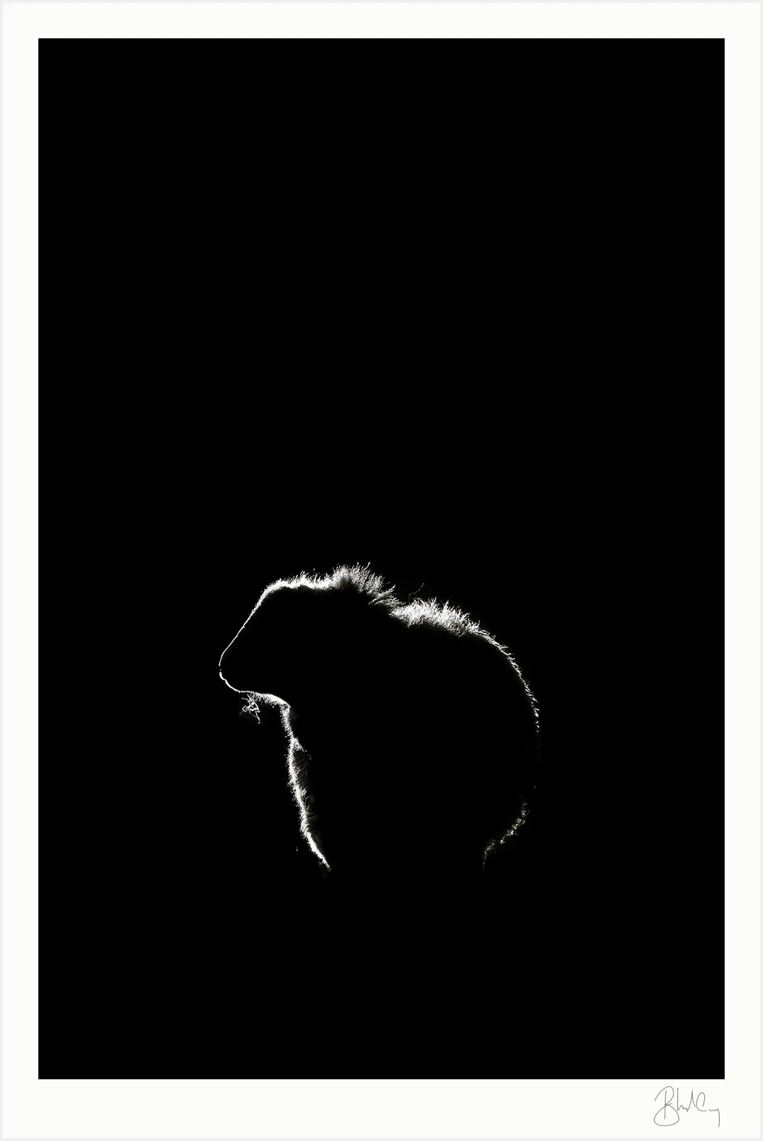 Mockup-Quintessence-01.jpg