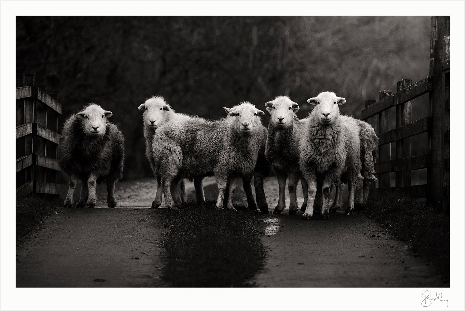 Mockup-PatterdalePosse-01.jpg