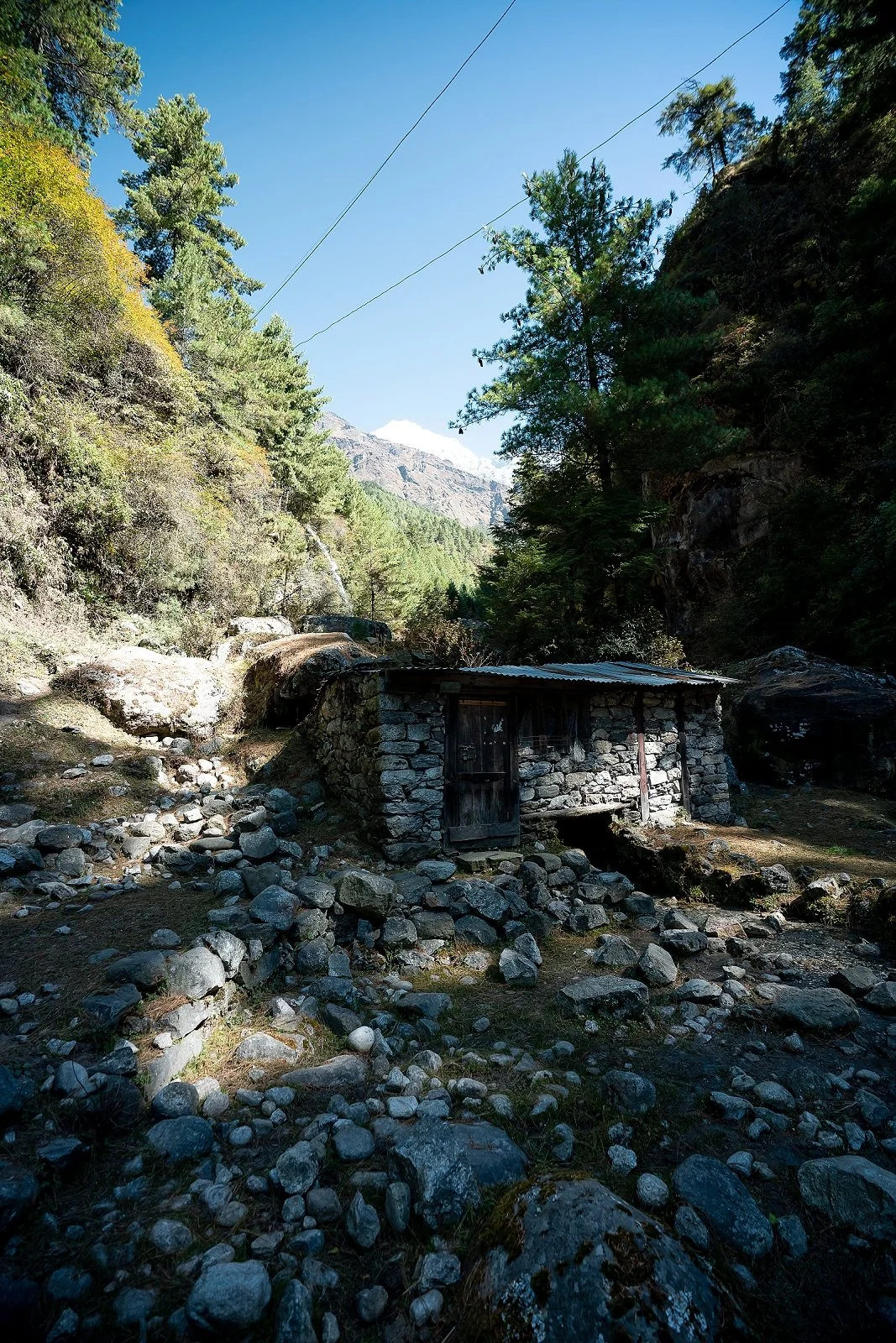 Copy of GCP20191112-00049.jpg