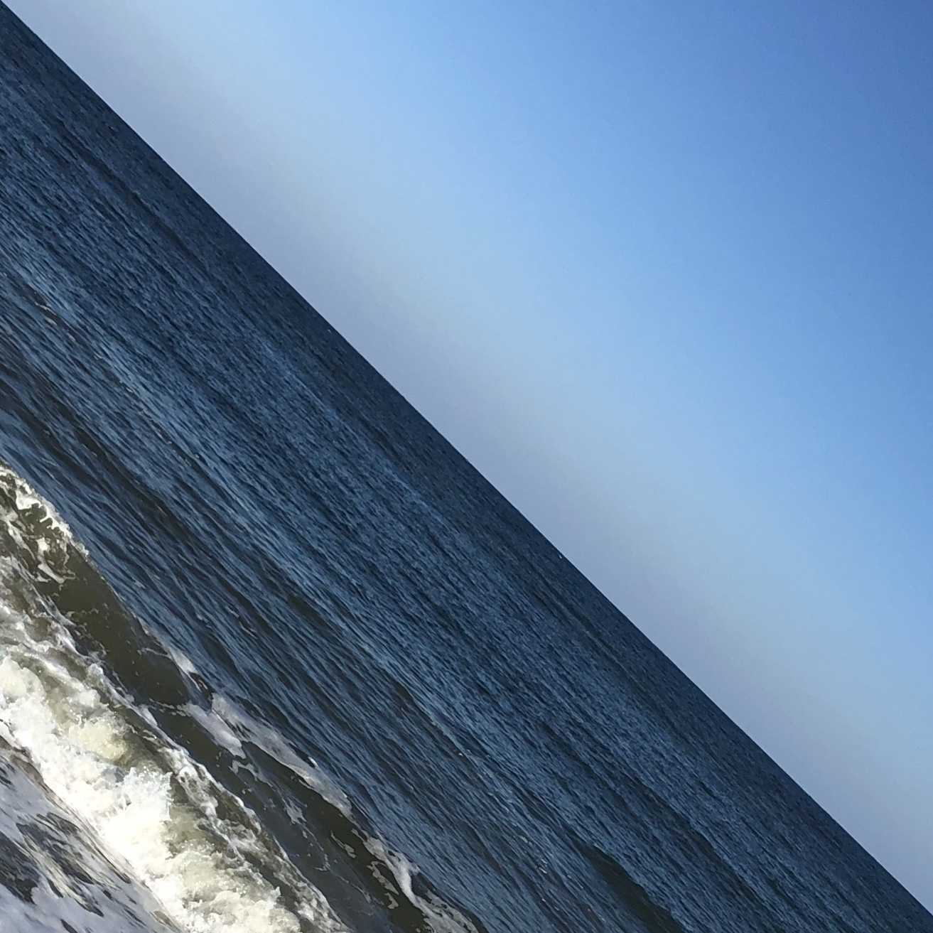 Photo Details for Purcell_html_de81e126ba10c0d9.png