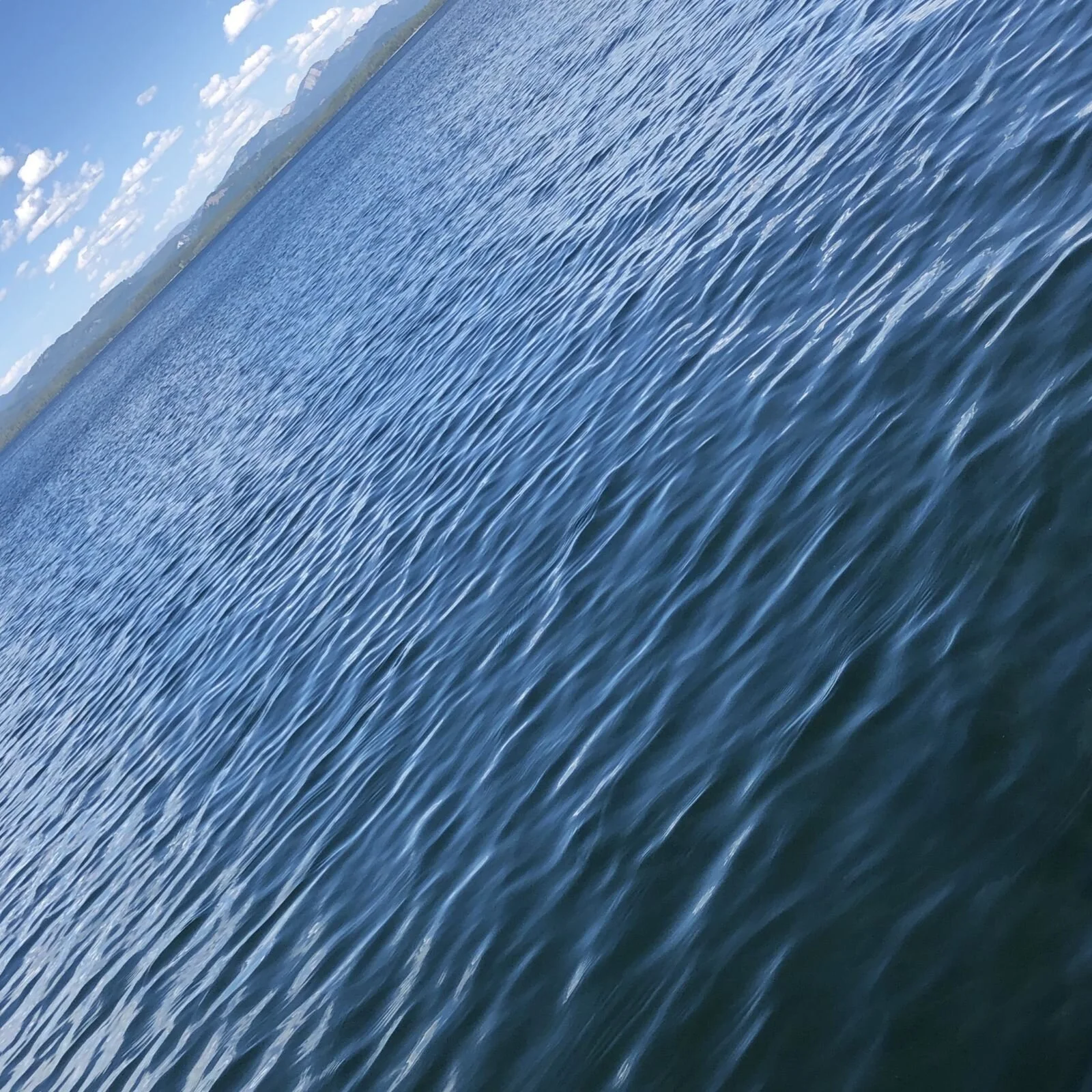 Photo Details for Purcell_html_22b144d80cd8b6c0.jpg