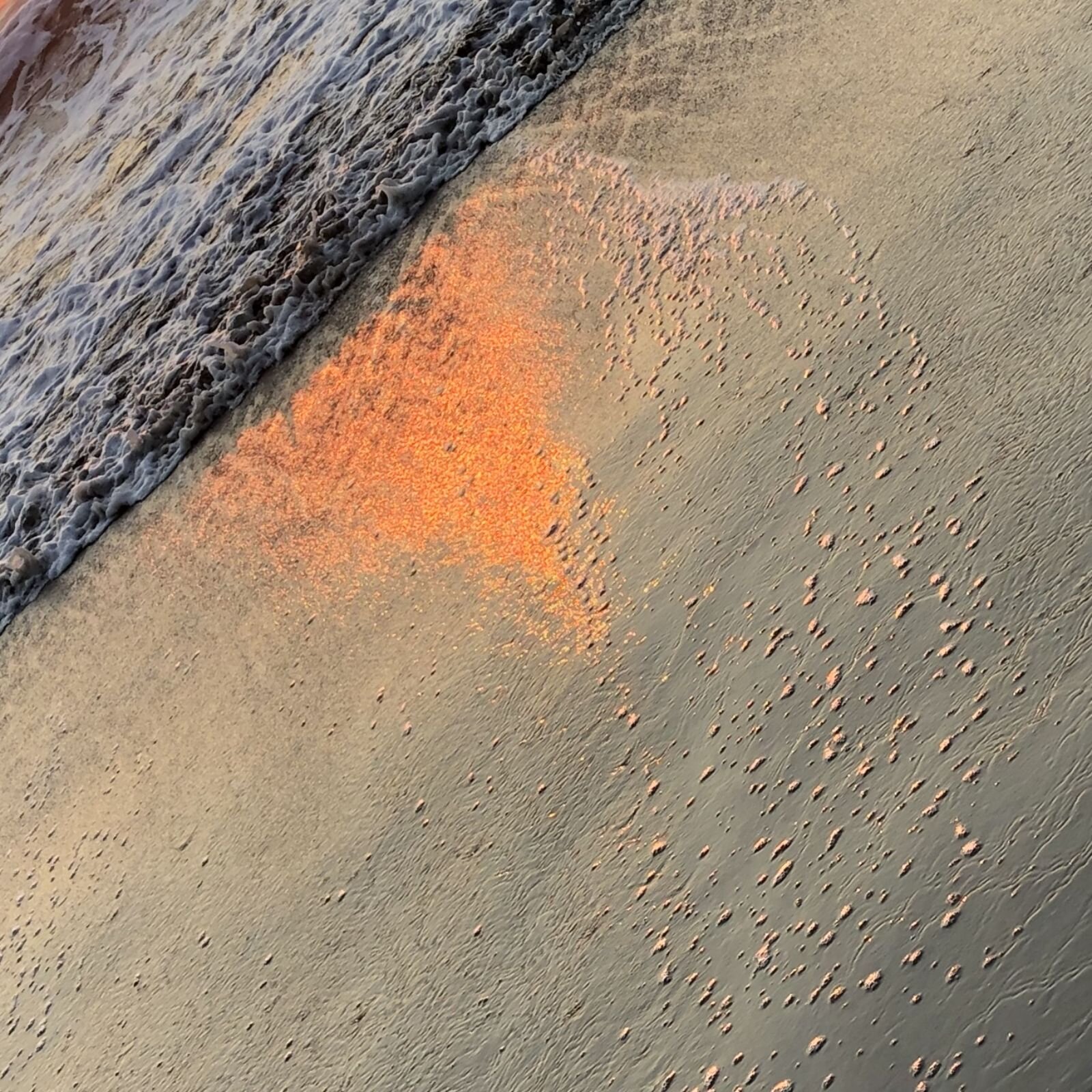 Photo Details for Purcell_html_c05929afe701dbc6.jpg