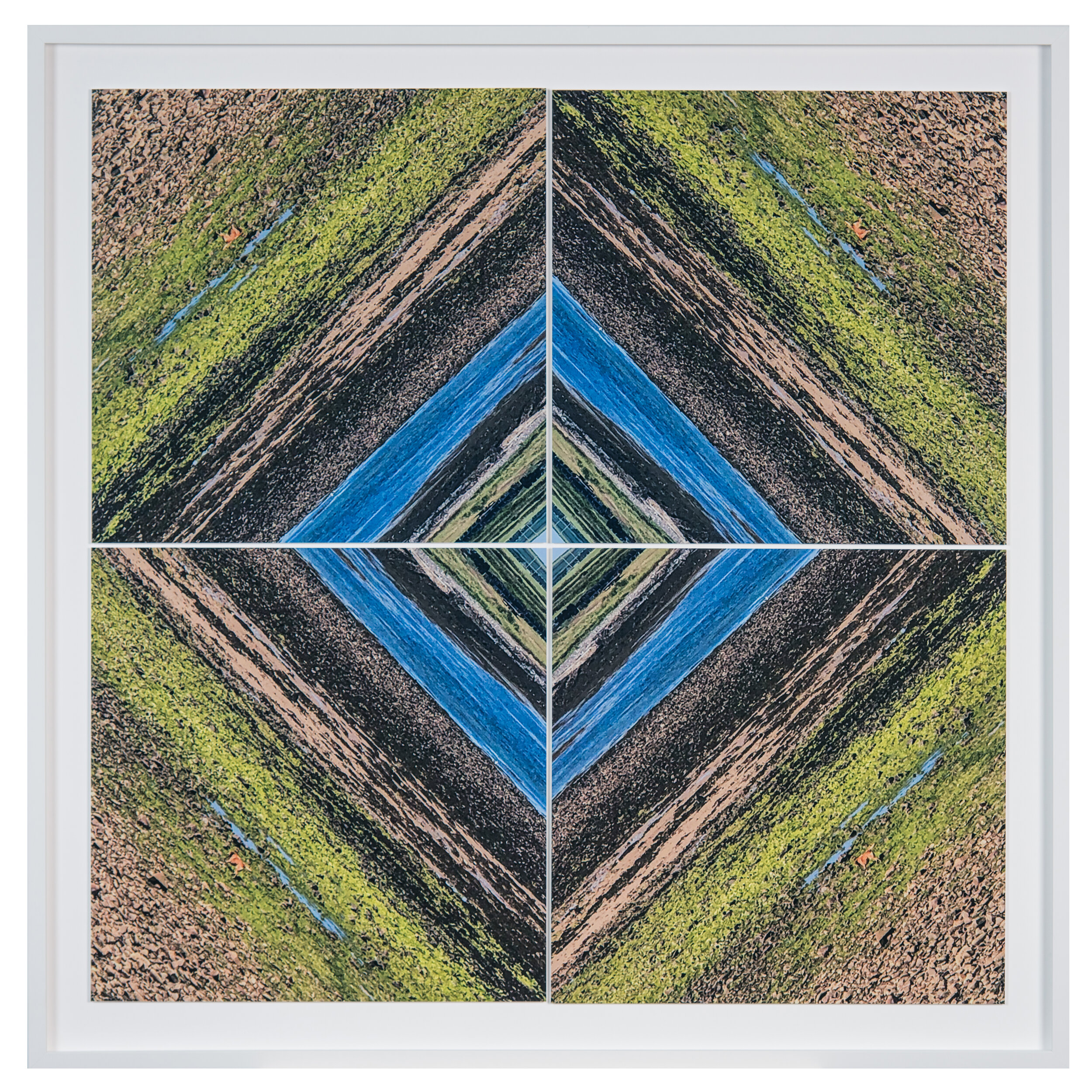 Lone Dog in Doonbeg (sold)