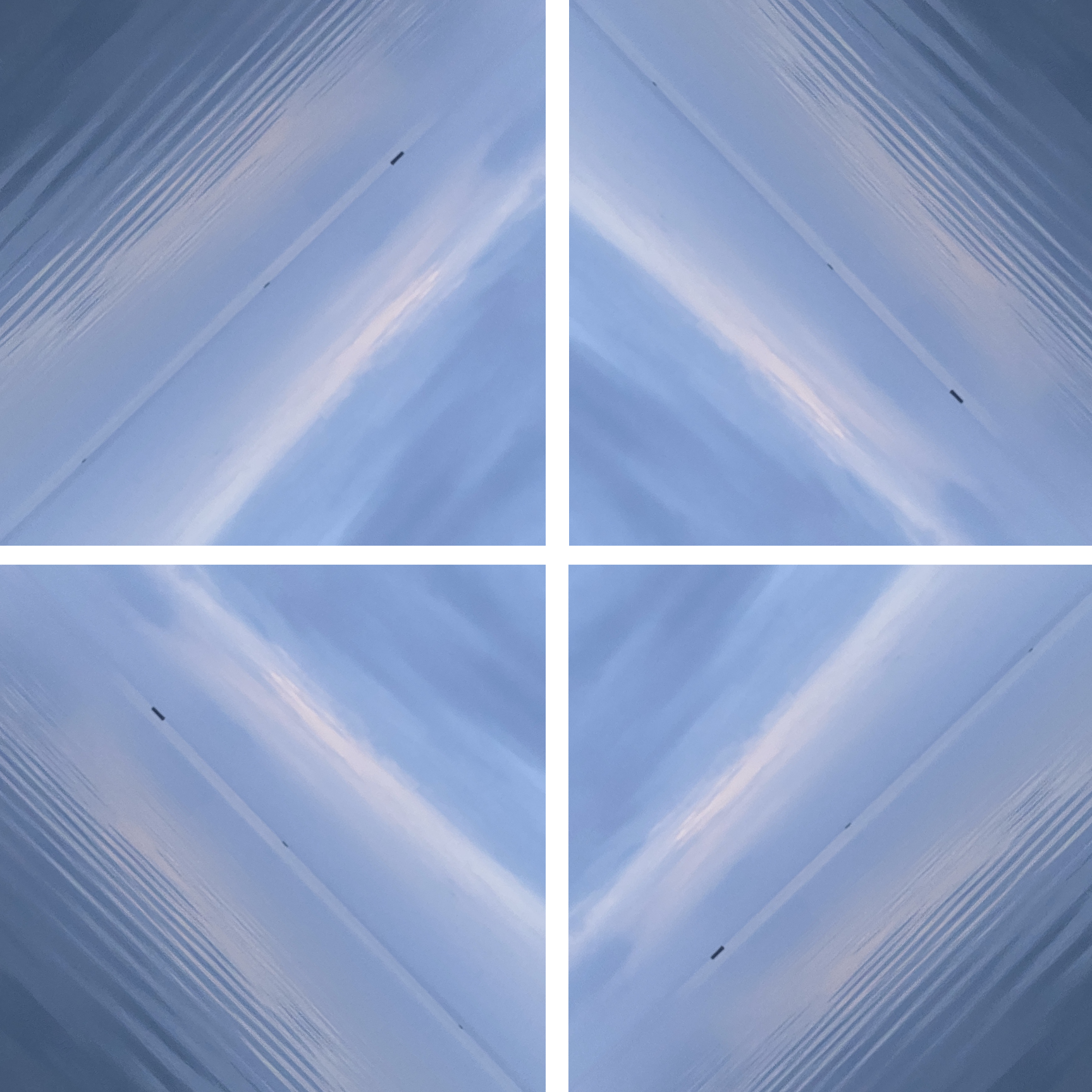 Blue and Purples in NC.PNG