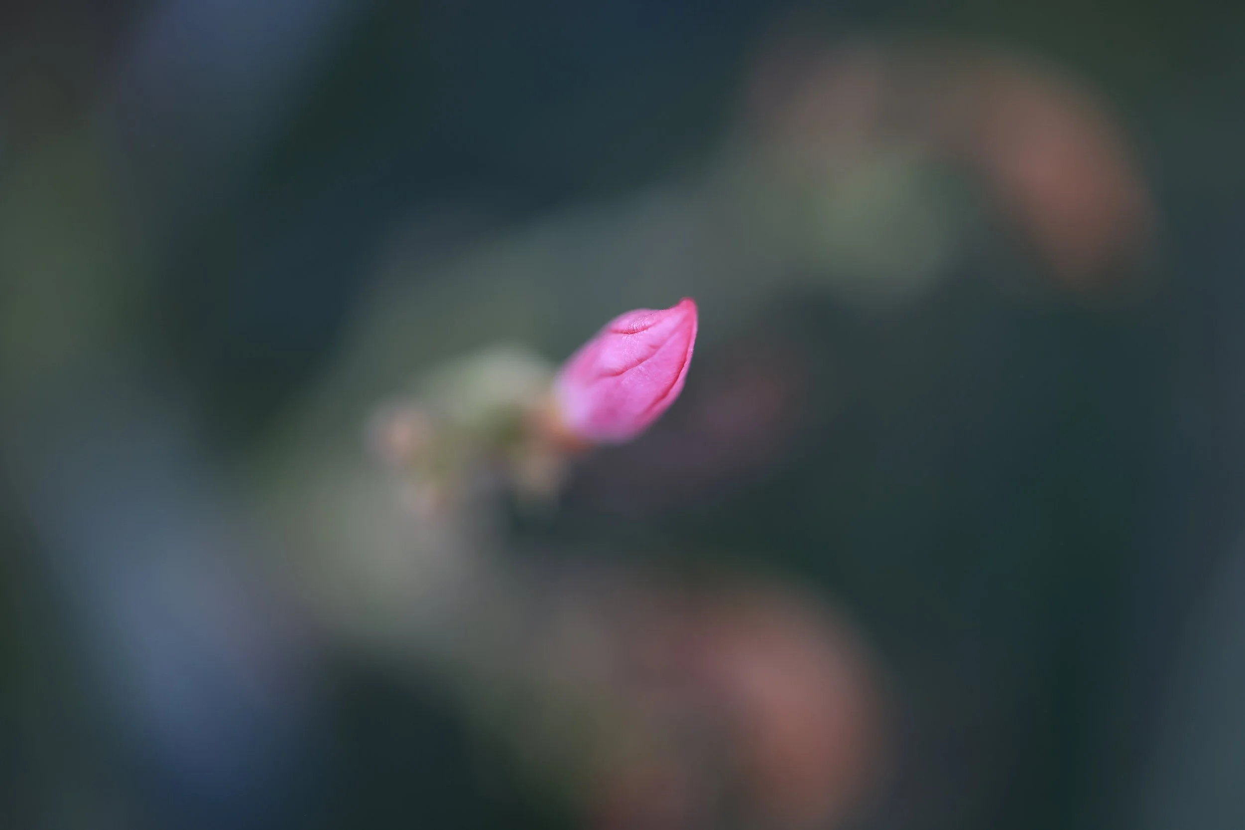 2U6A6670.JPG