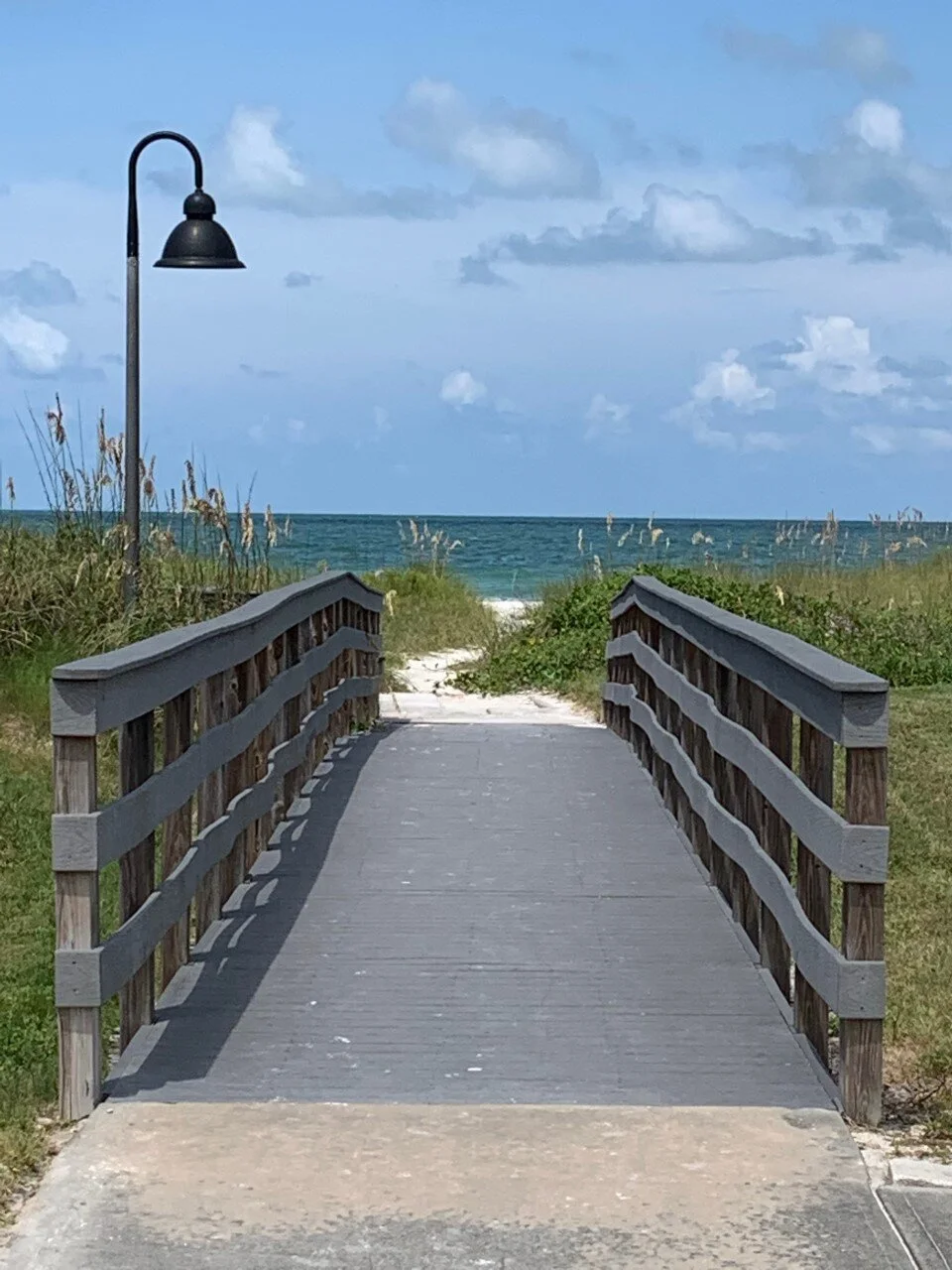 florida pic.jpg
