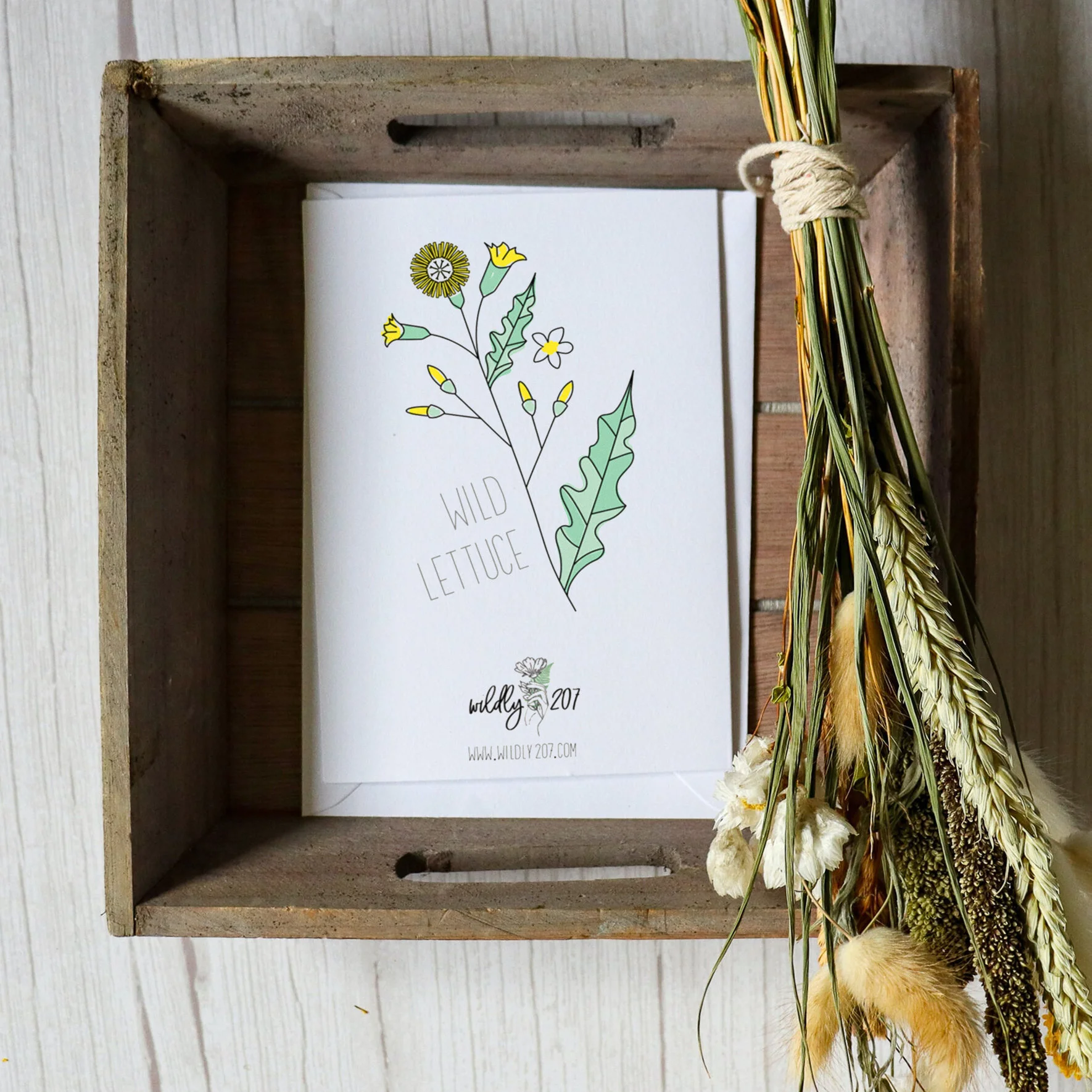 WildLettuce-Card-Website.jpg