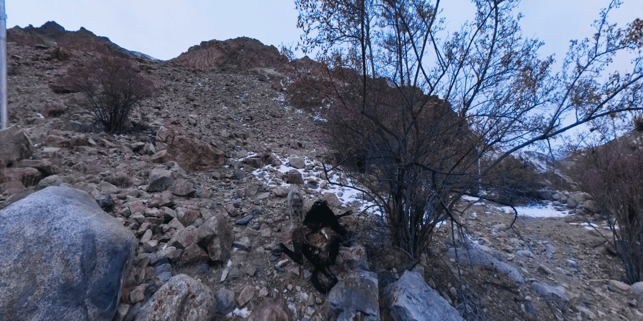 SnowLeopard_Screengrab_SnowLeo-2.png