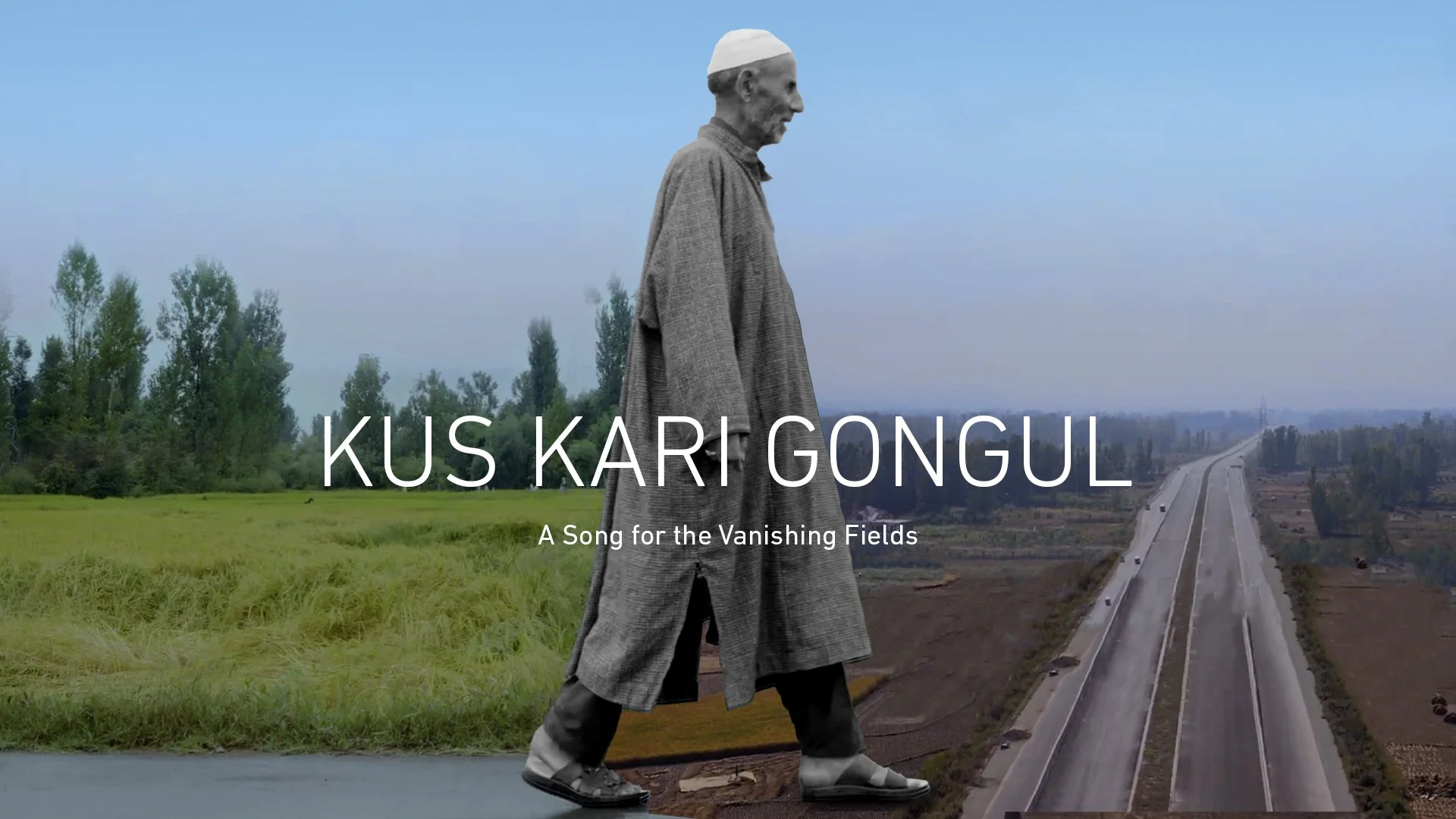 Kus Kari Kongul 3.jpg