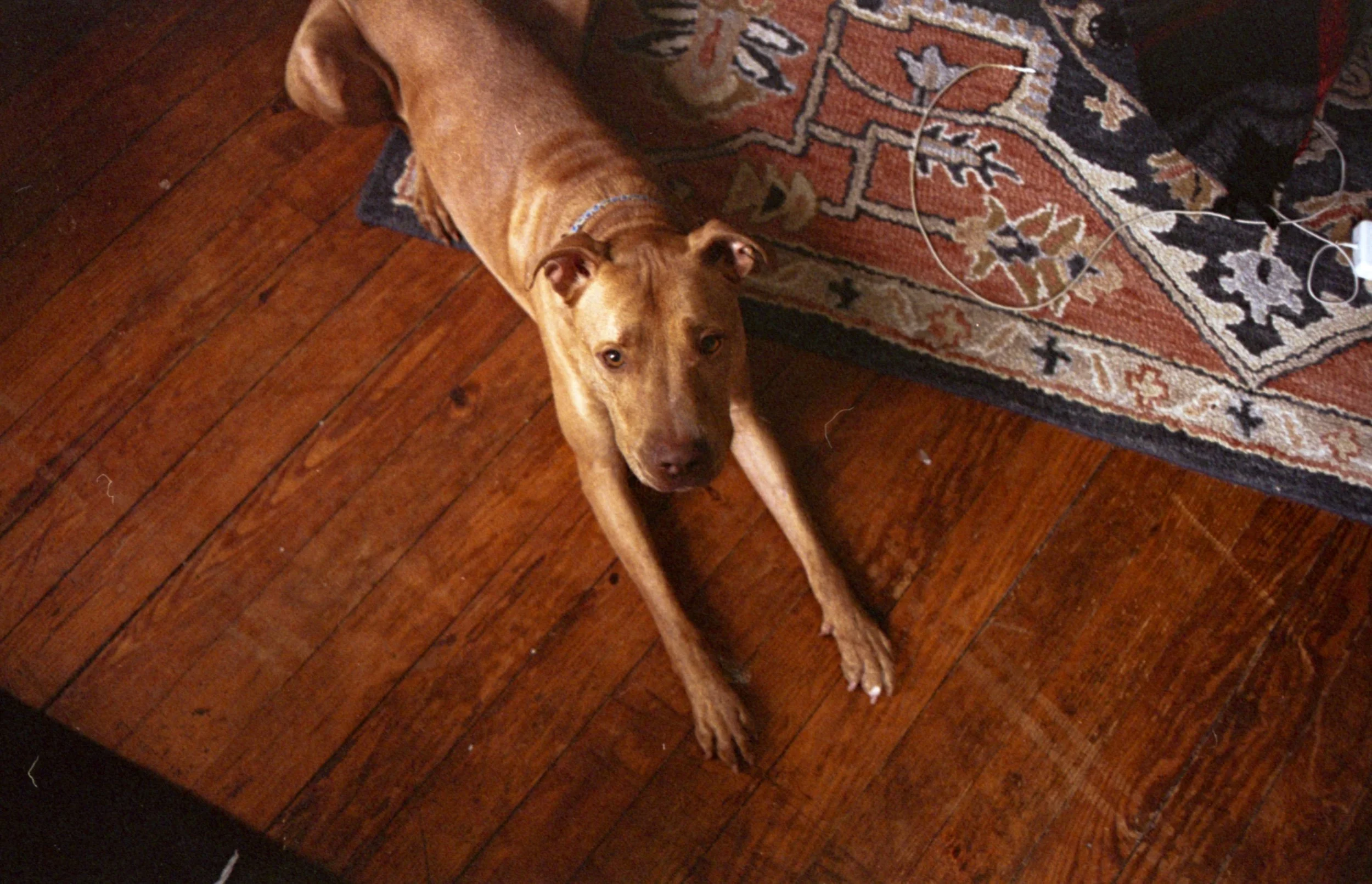 img20200721_15174172.jpeg