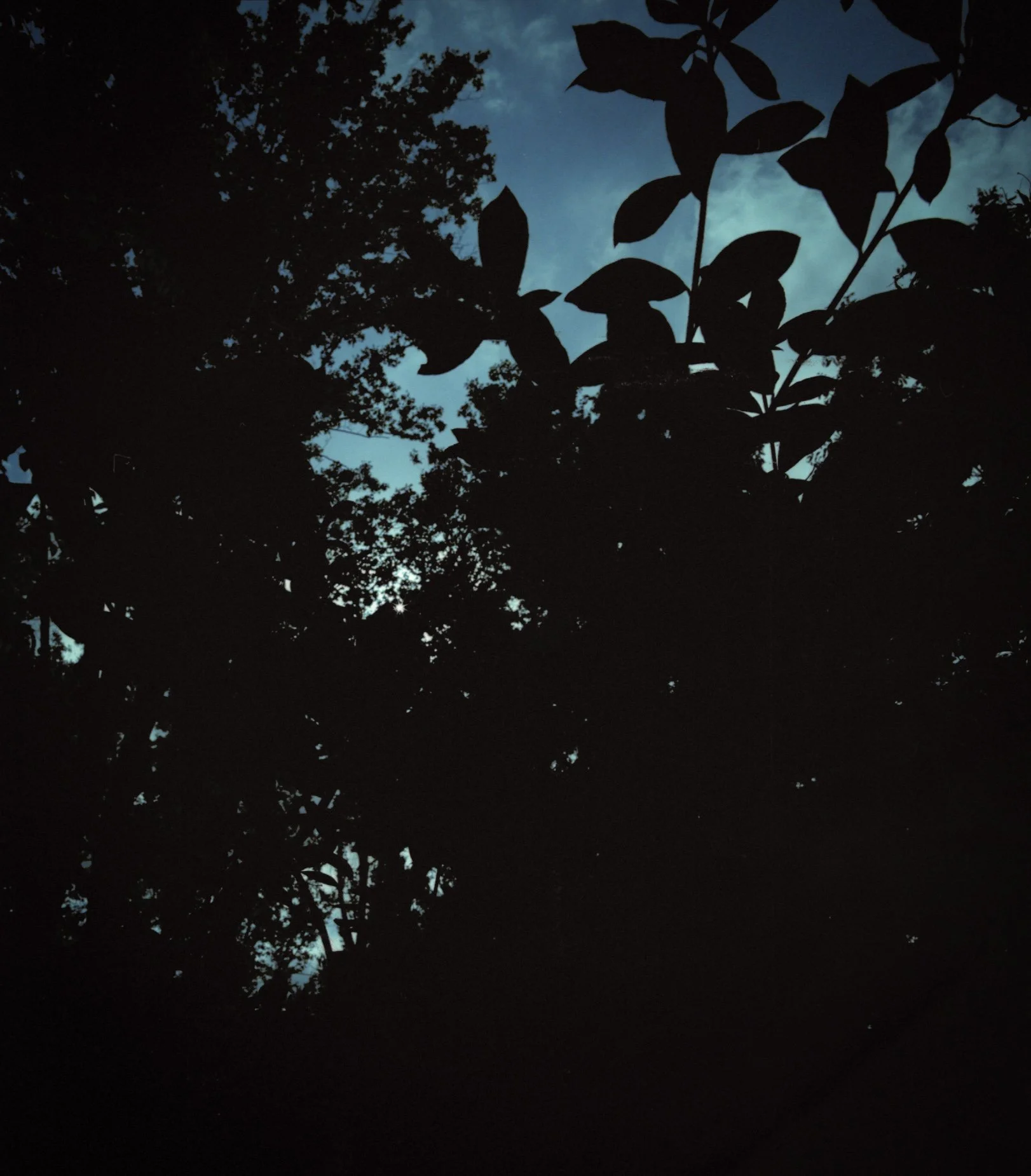 life042.jpeg