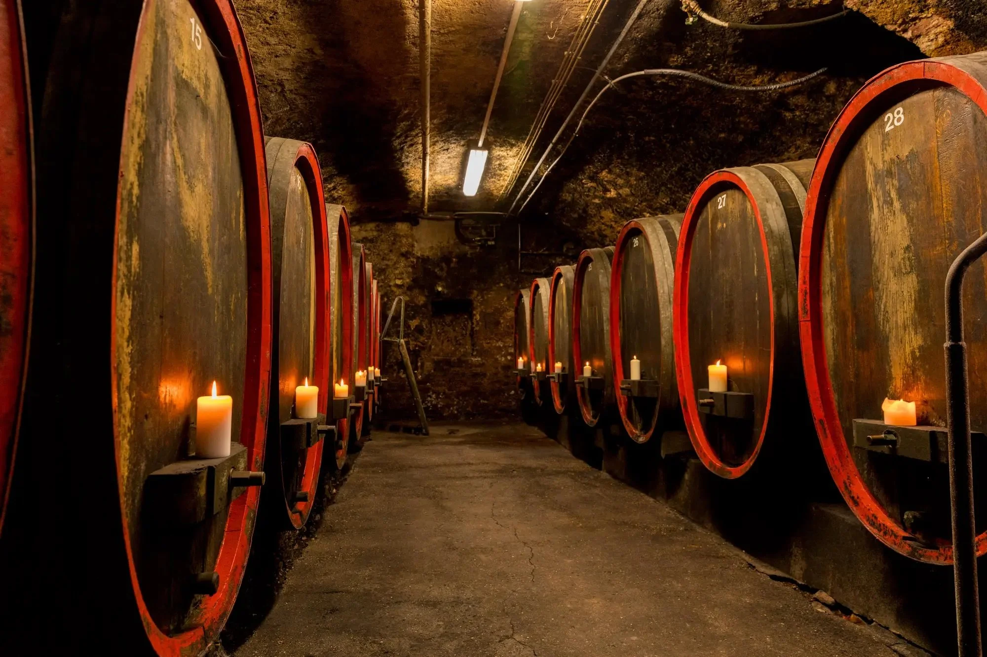 Keller Gregor Kopie.jpg