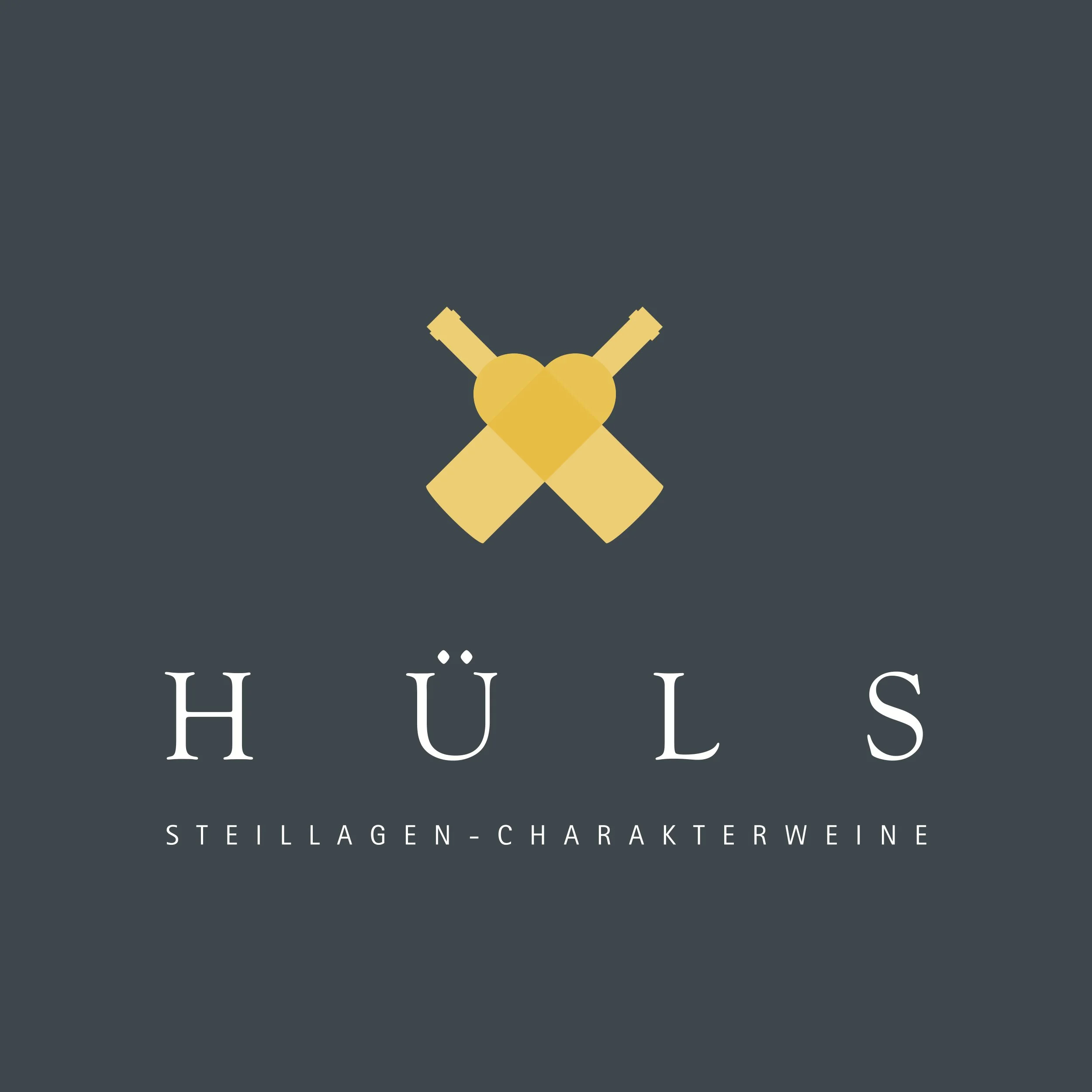 huels_logo_grau_gr.jpg