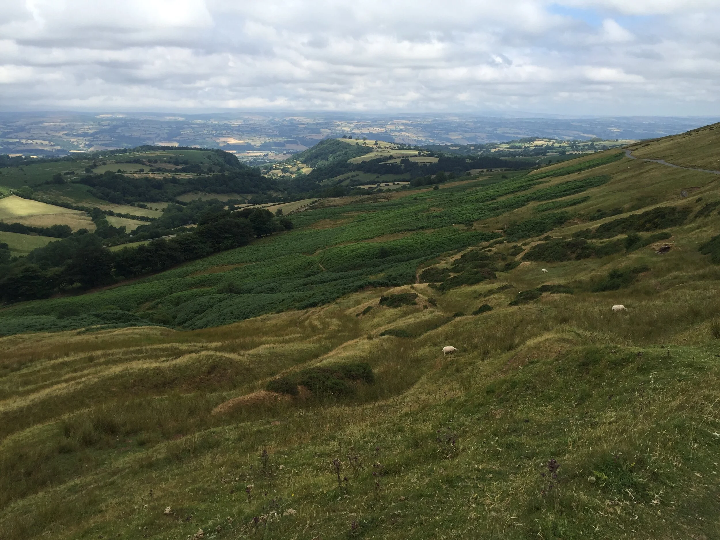  View from Hay Bluff, Herefordshire 