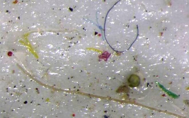 Microplastic found in ice core samples | Photo Credit - Reuters