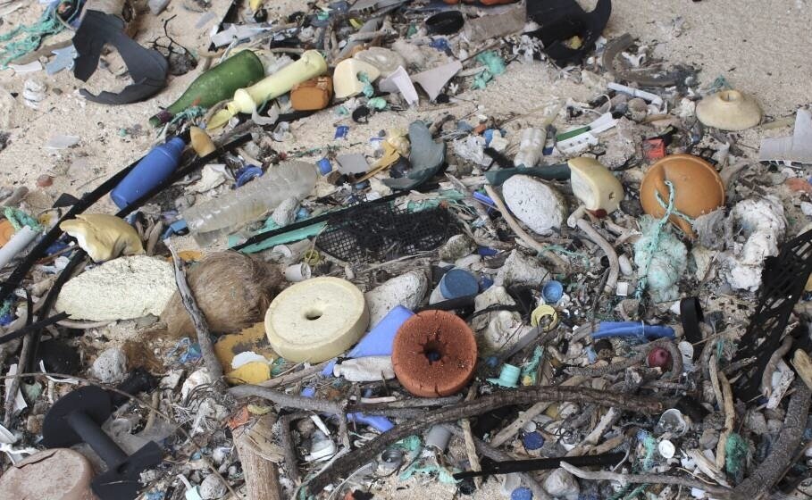 Henderson Island Pollution | Photo Credit - Jennifer Lavers