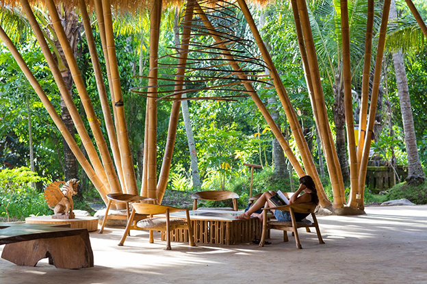 Campus Immersed in Nature I Photo - Green School