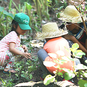 Lessons in Nature I Photo - Green School